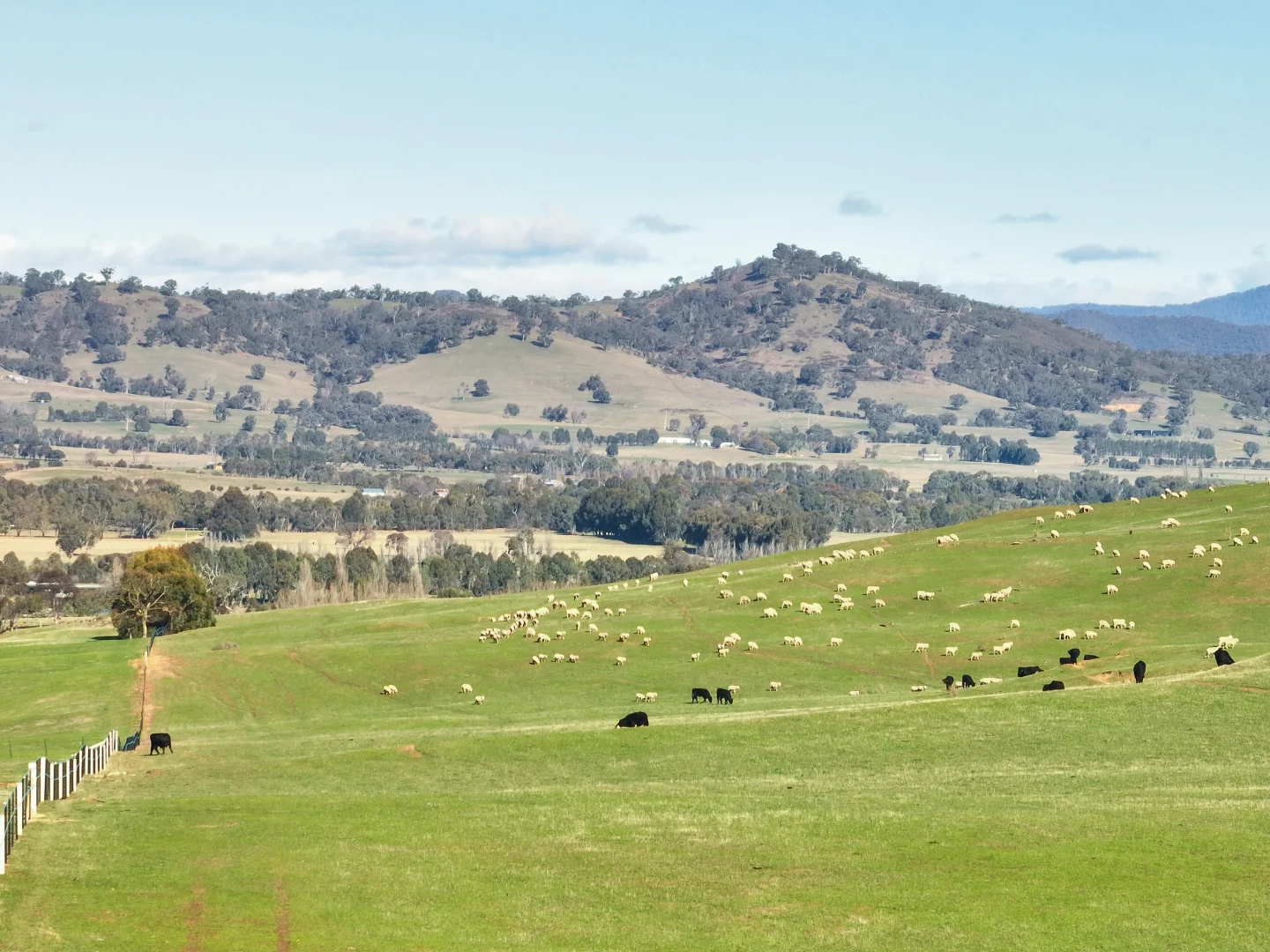 Additional image 15 of Lot 1, 214 Hearns Road, Boorolite VIC 3723