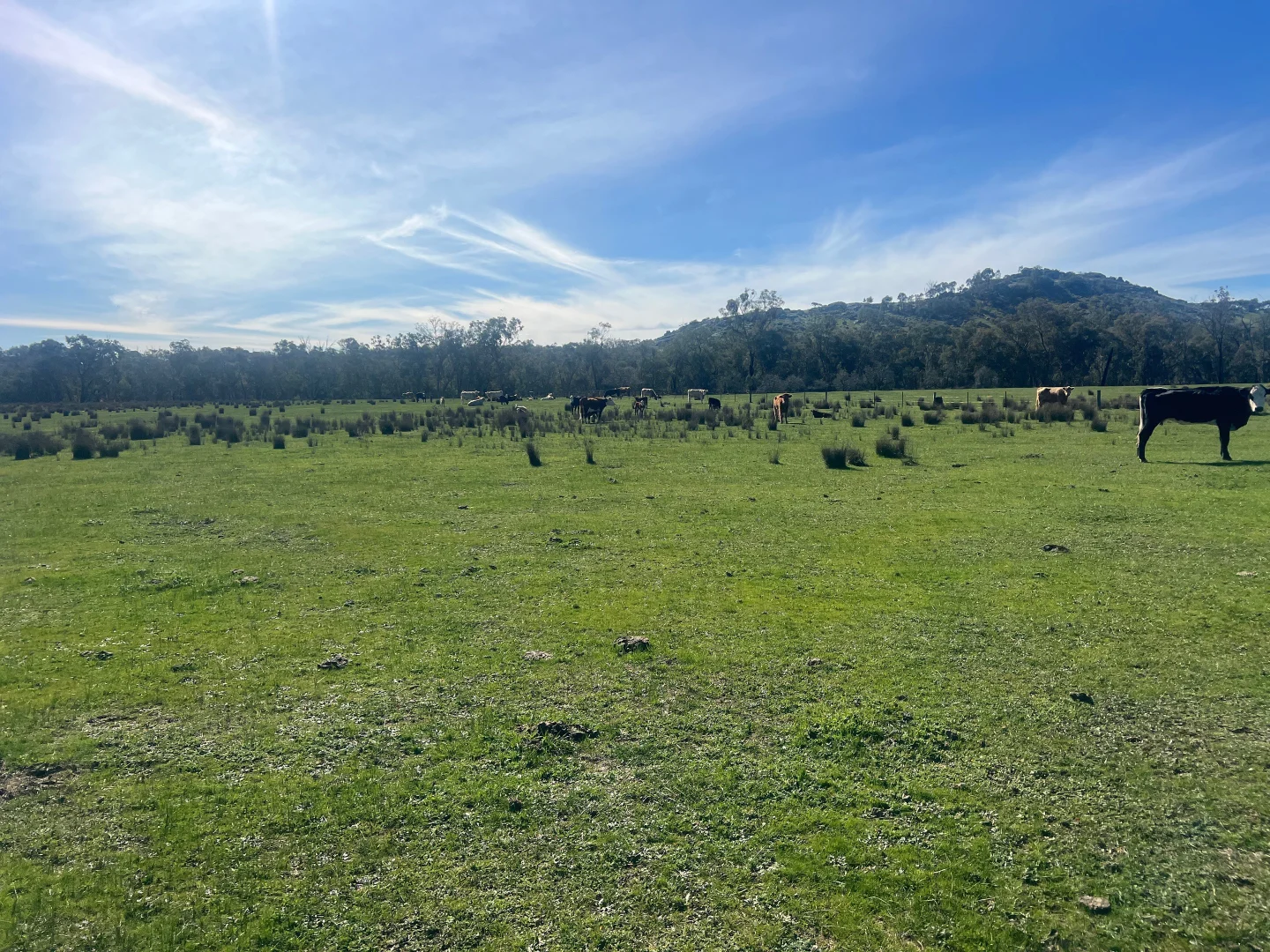 Additional image 18 of Cheesley Gate Road, Indigo Valley VIC 3688