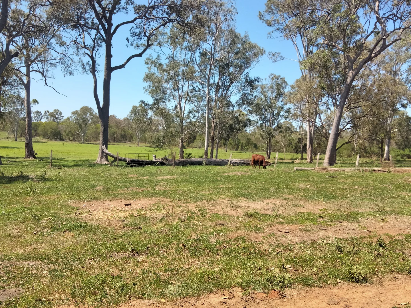 Additional image 20 of 2913 Rosedale Road, Yandaran QLD 4673