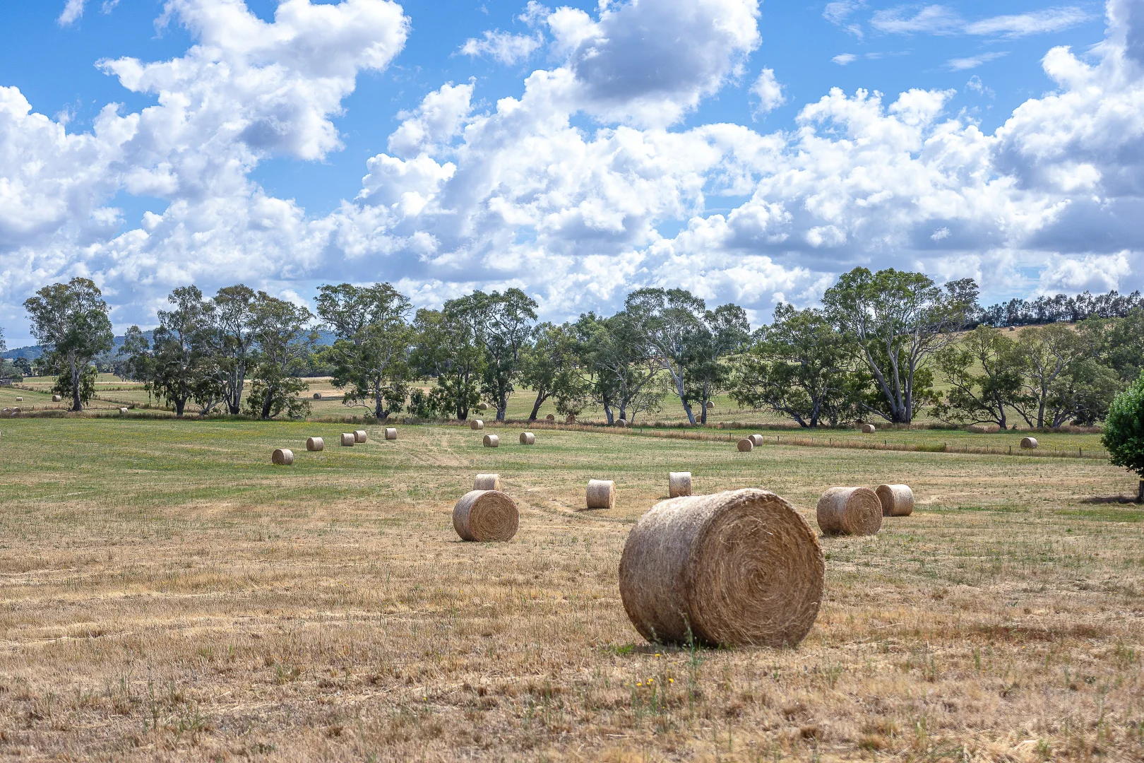 Additional image 10 of Lot 20 & 21 Newman Road, Charleston SA 5244