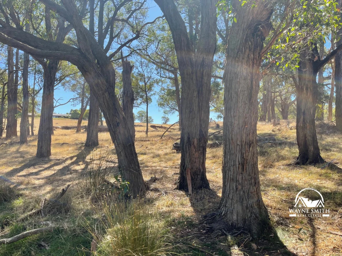 Additional image 12 of 3 Nerang Court, Wandong VIC 3758