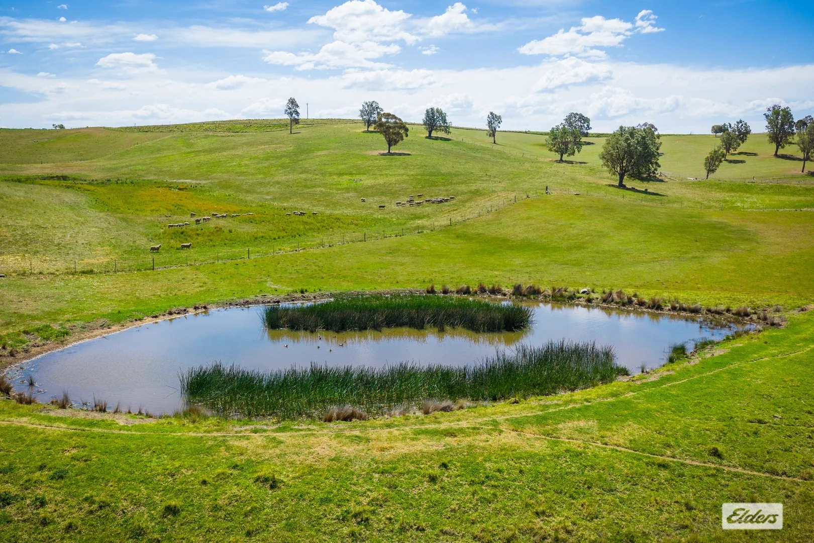 Additional image 4 of 921 Mogilla Road, Tantawangalo NSW 2550