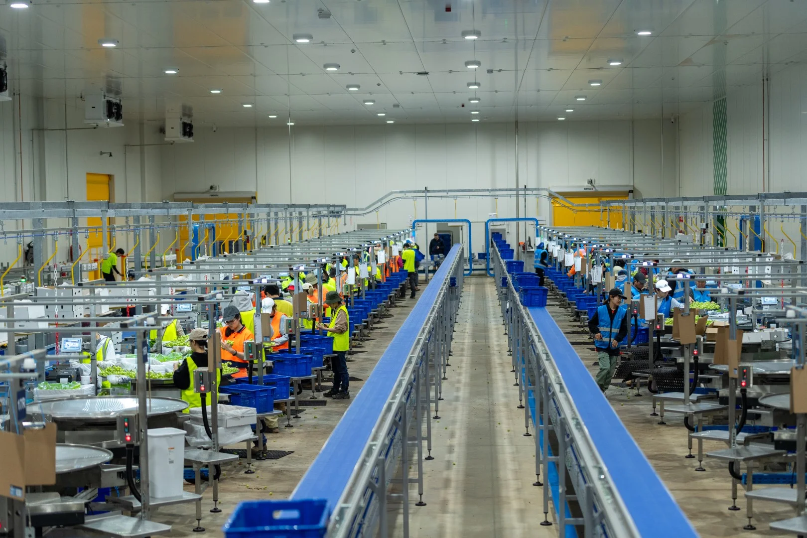 Additional image 4 of 1251 Stanitzki Road, Pike River SA 5340