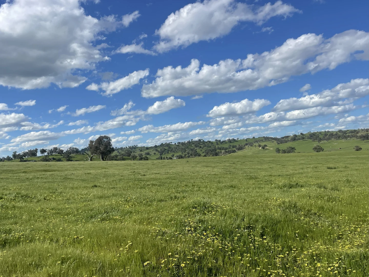 Additional image 10 of Lot 70 Cooney's Creek Road, Jugiong NSW 2726