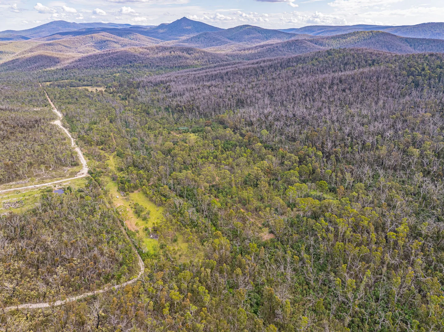 Additional image 20 of 153 Murumba Rd,, Bombay NSW 2622