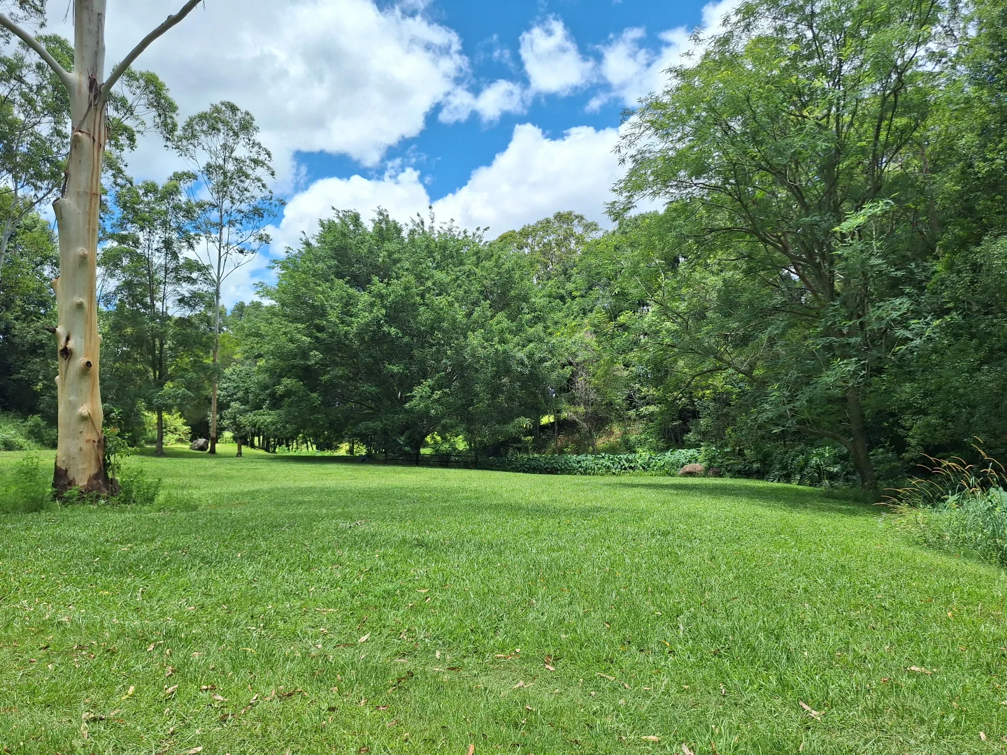 Additional image 14 of 291 Upper Crystal Creek Road, Crystal Creek NSW 2484