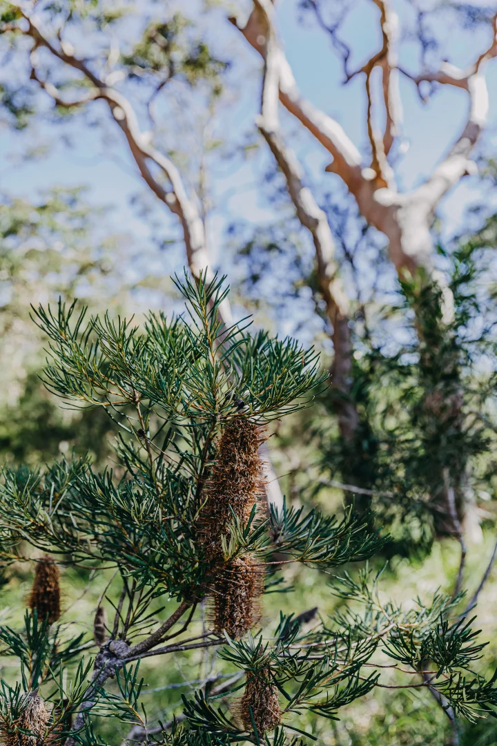 Additional image 14 of 23 Uffington Road, Duns Creek NSW 2321