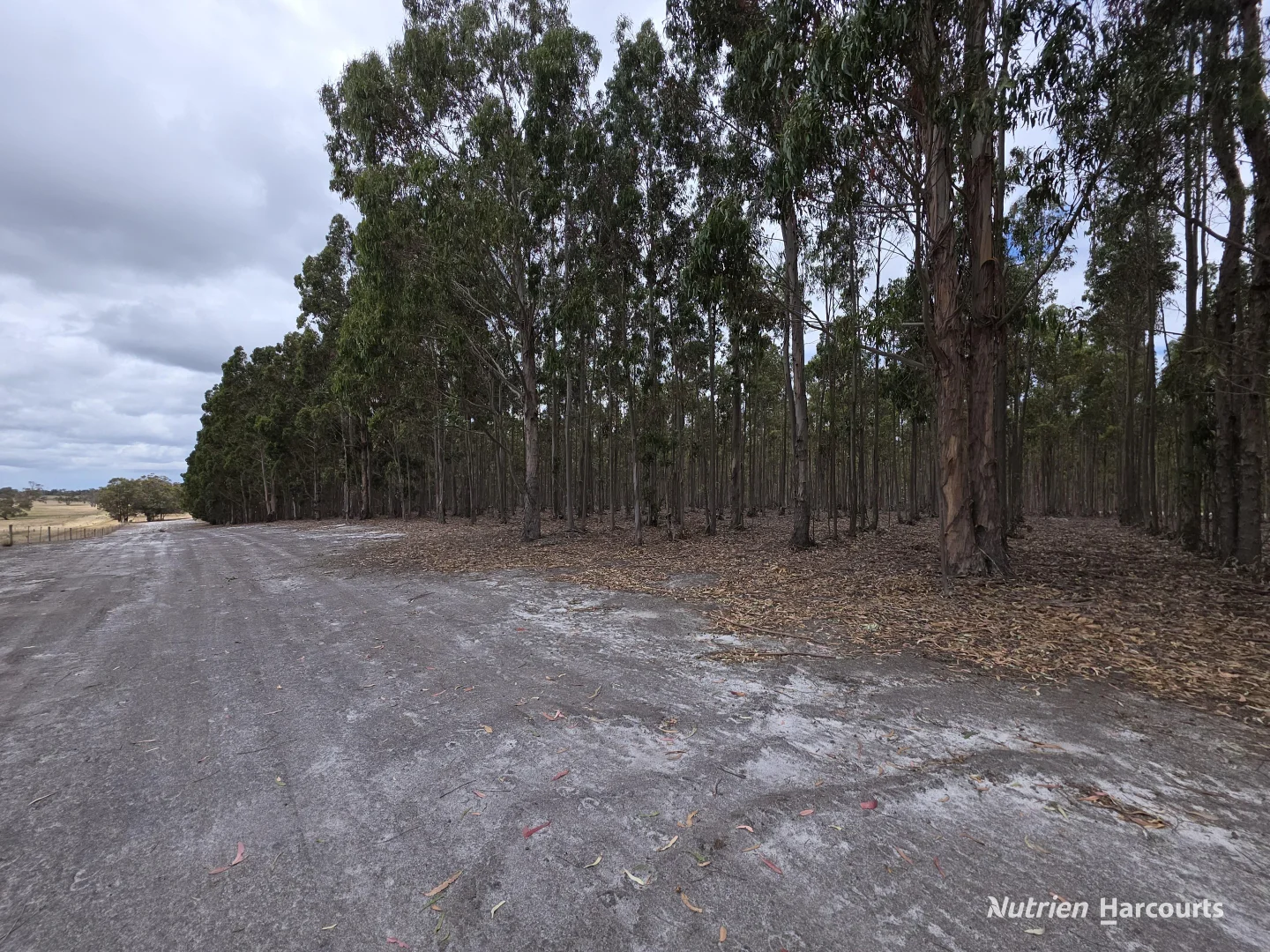 Additional image 13 of 142 Mindijup Road, Palmdale WA 6328