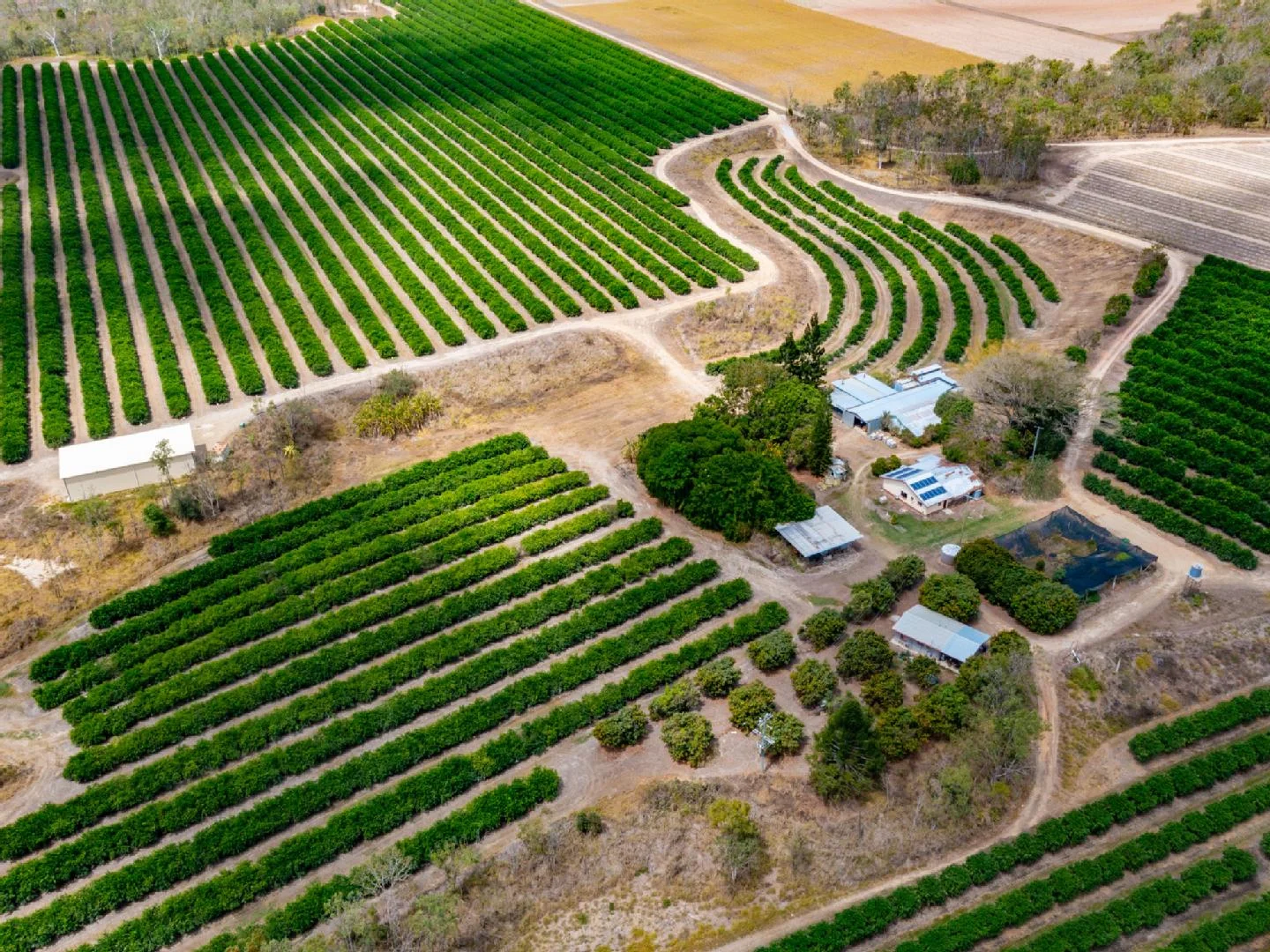 Additional image 2 of 22 LEONARDI ROAD, Mareeba QLD 4880