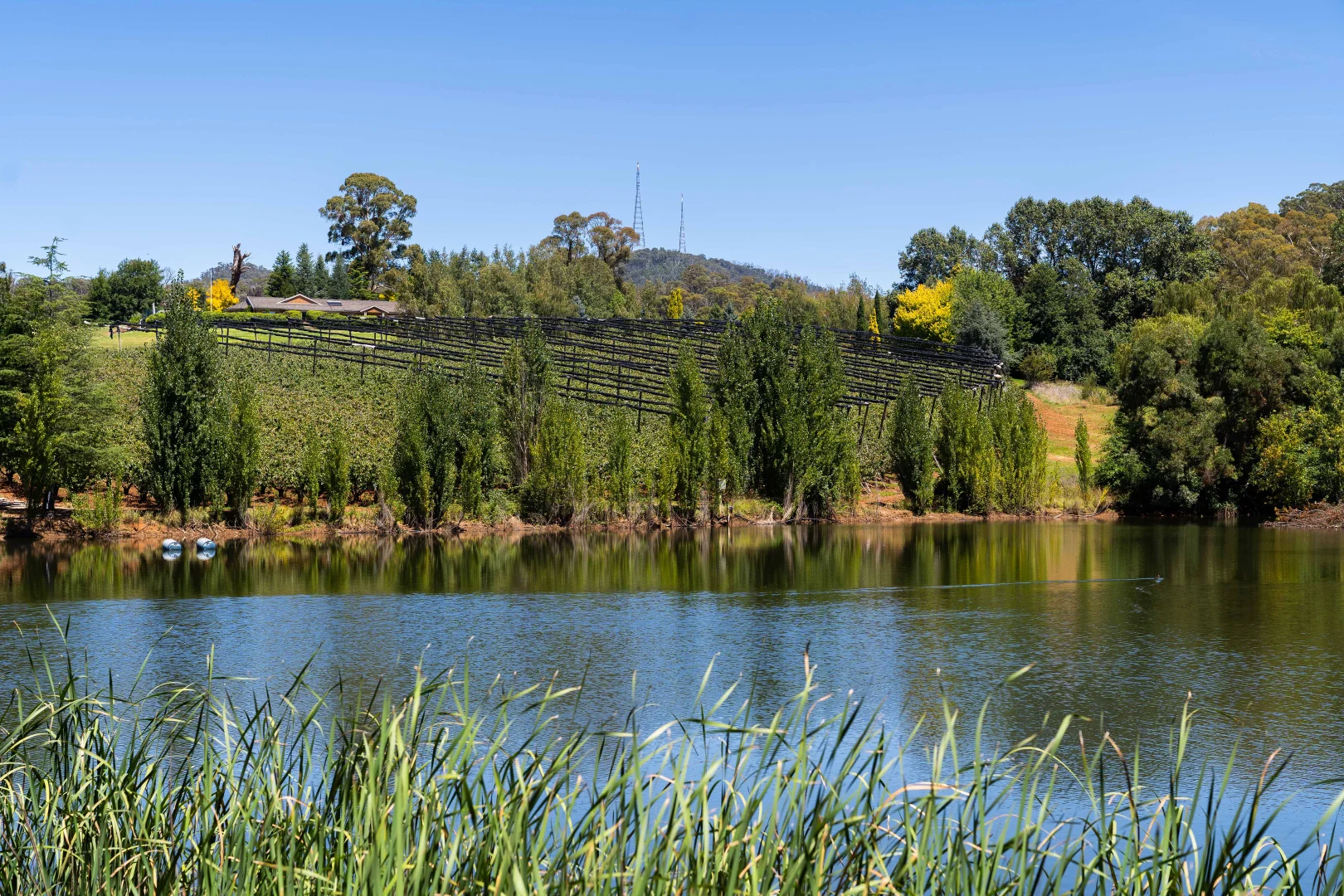 Additional image 2 of 293 Nancarrow Lane, Orange NSW 2800