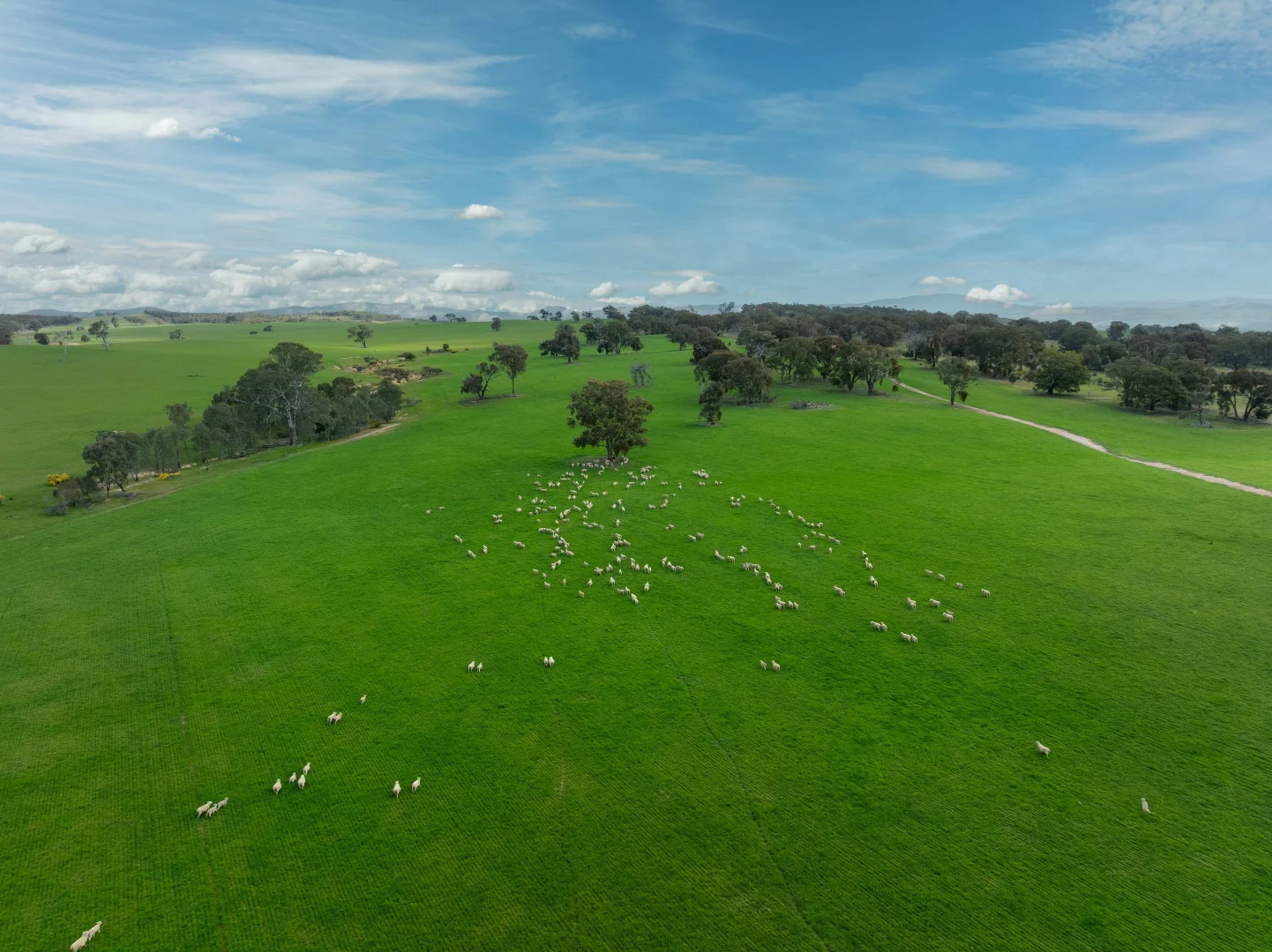 Additional image 2 of 4040 Sunraysia Highway, Lexton VIC 3352