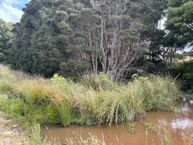 Additional image 10 of 20 Nitida Drive, Scotchtown TAS 7330