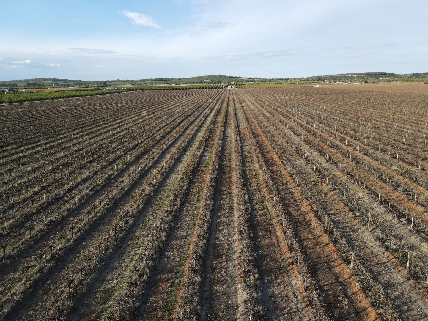 Additional image 2 of 1802 Old Well Road, Tharbogang NSW 2680