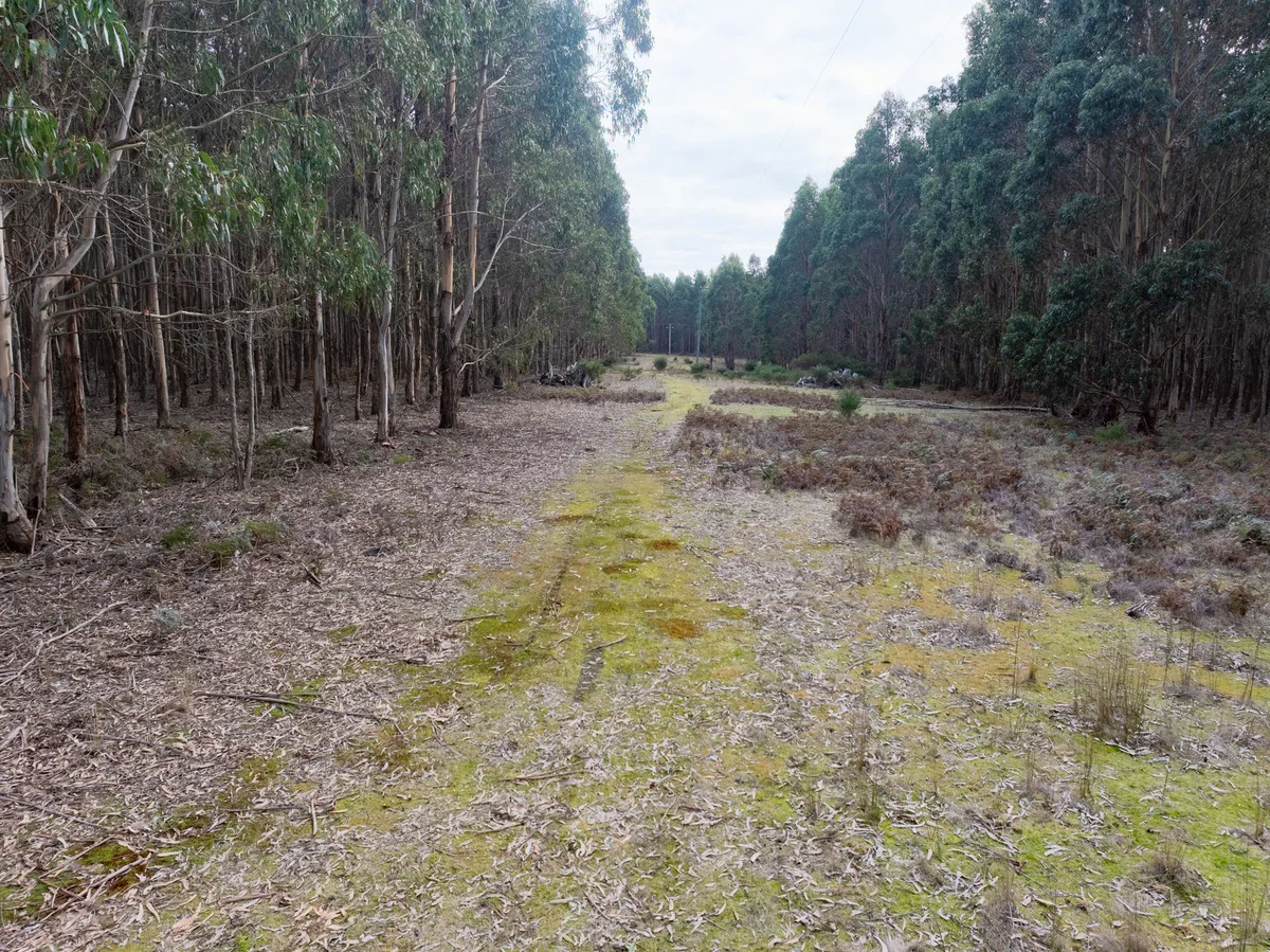 Additional image 3 of 3 Waterhouse Road, Gladstone TAS 7264