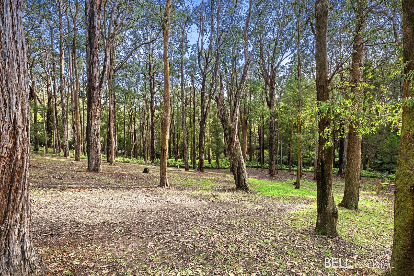 Additional image 8 of 15 Lyrebird Avenue, East Warburton VIC 3799