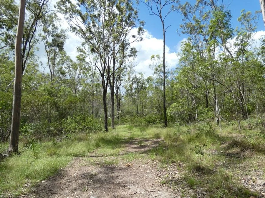 Additional image 7 of 397 Mollenhagens Road, Rosedale QLD 4674