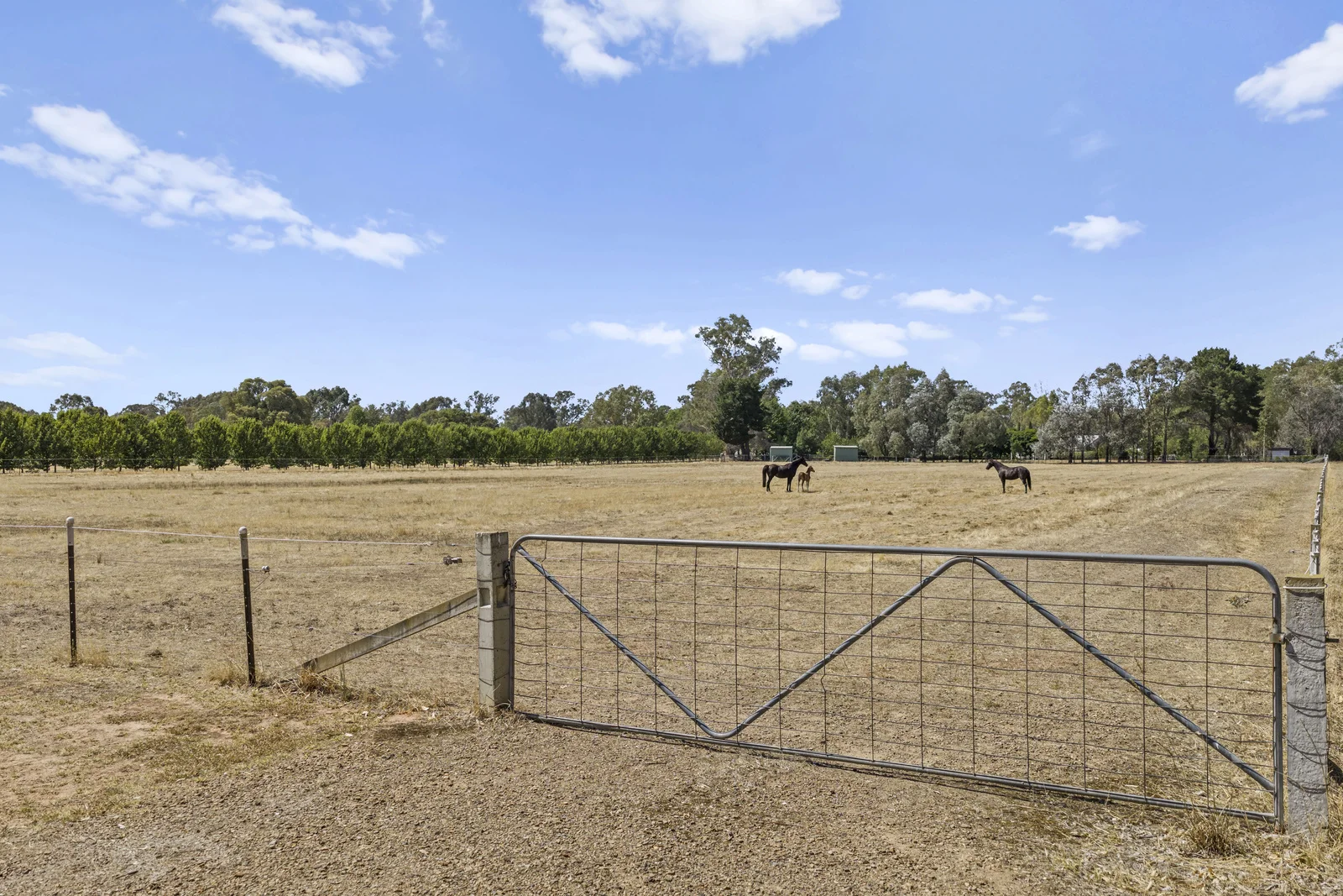 Additional image 3 of 185 Grant Drive, Benalla VIC 3672