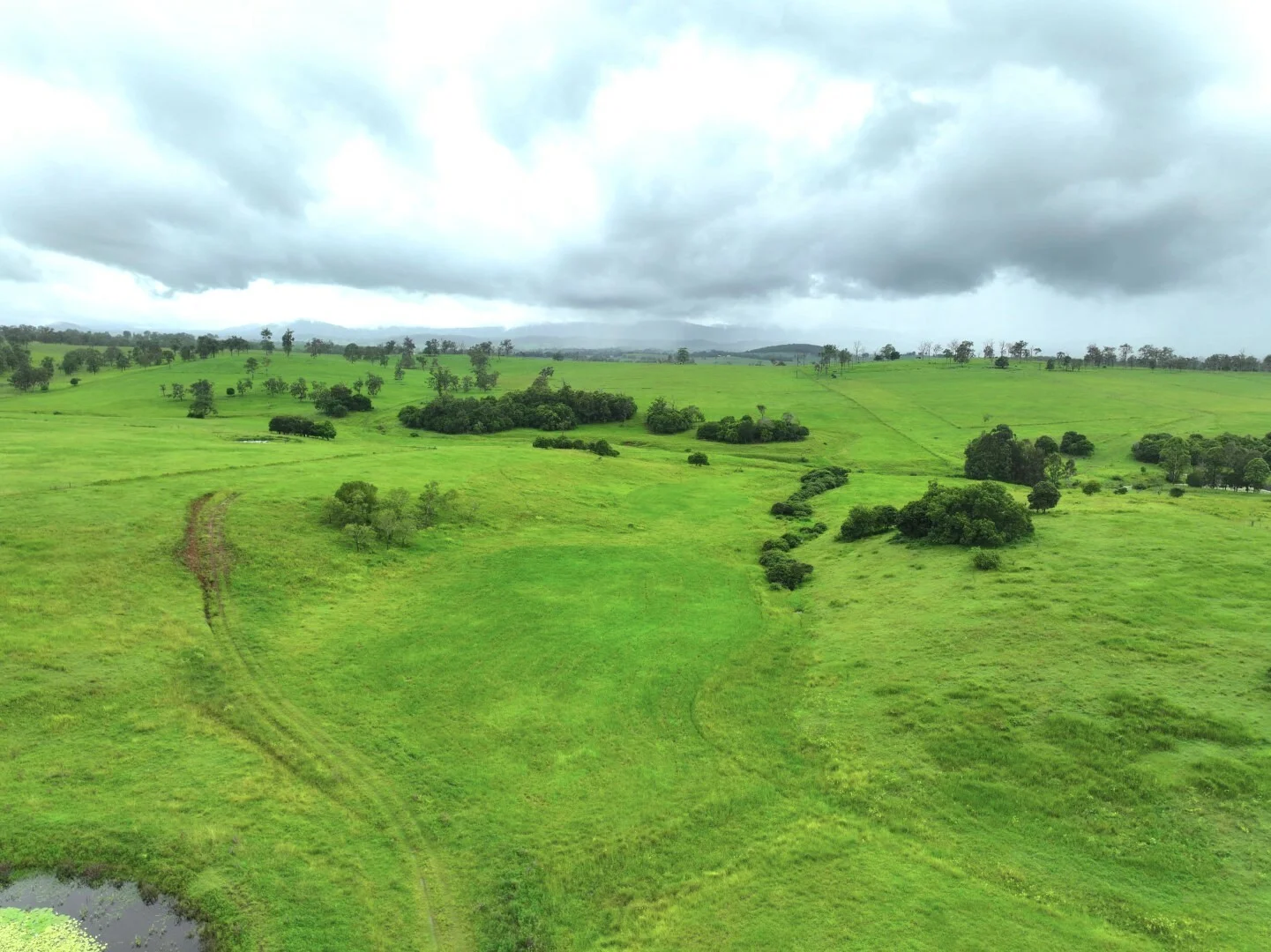 Additional image 26 of 284 Upper Stratheden Road, Kyogle NSW 2474