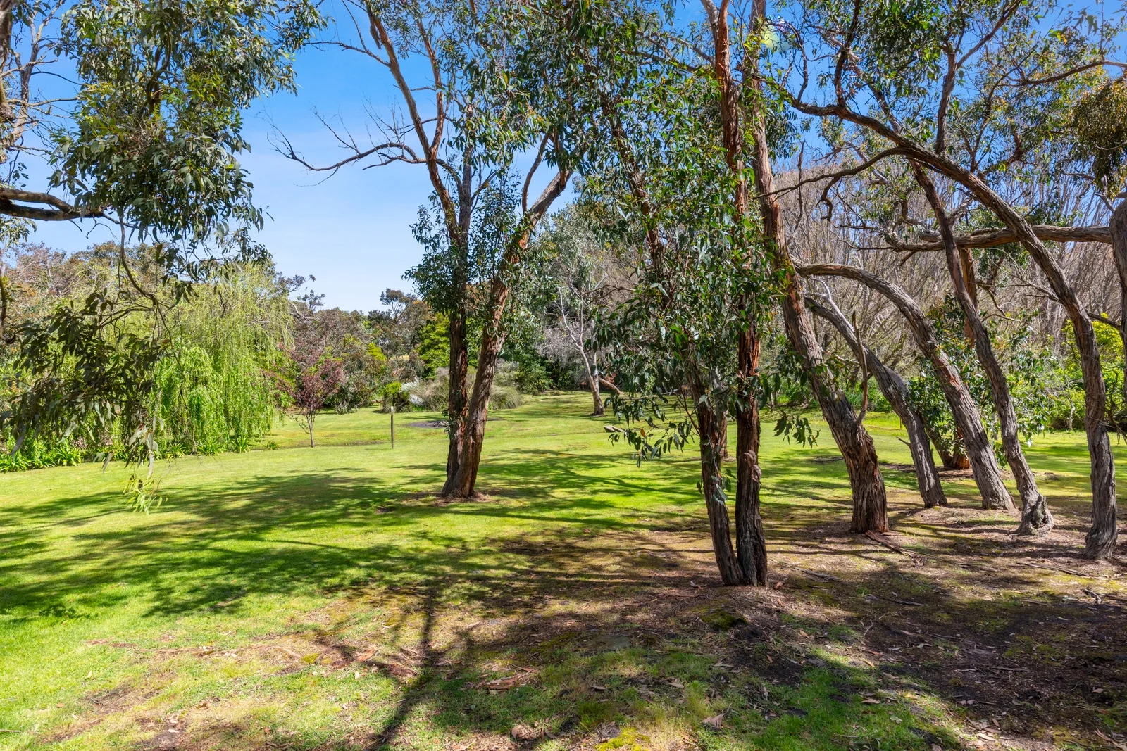 Additional image 20 of 97 Coombes Road, Torquay VIC 3228