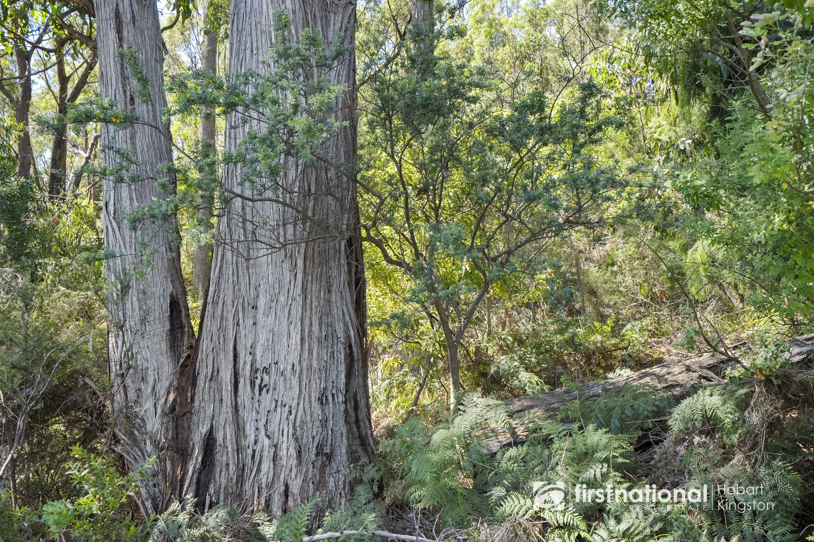 Additional image 8 of 1725 Main Road, Nubeena TAS 7184