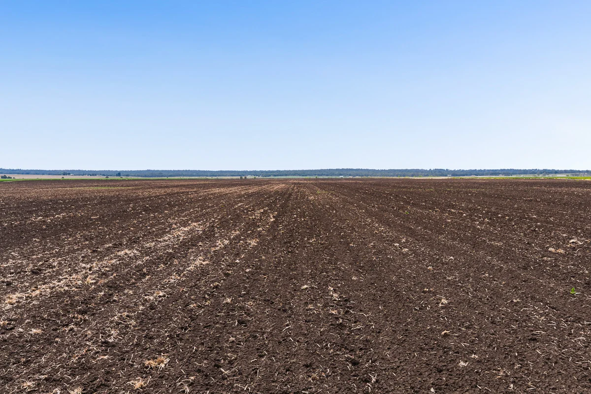 Additional image 6 of 240 Massie Bony Mountain Road, Massie QLD 4370
