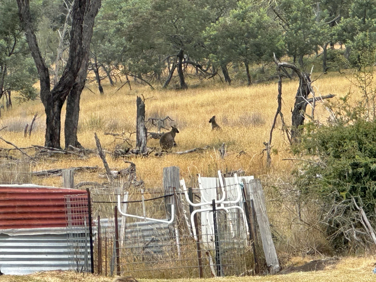 Additional image 23 of 89 Elizabeth Street, Mangana TAS 7214