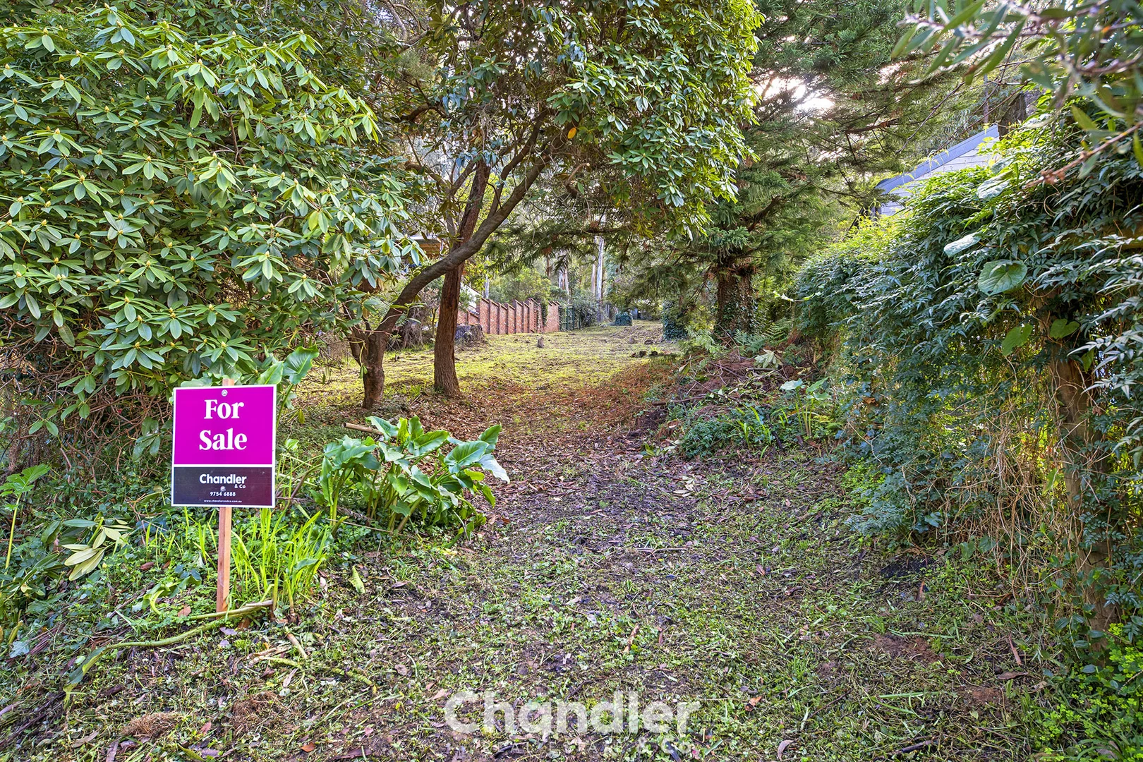 Additional image 5 of 25 Wright Avenue, Upwey VIC 3158