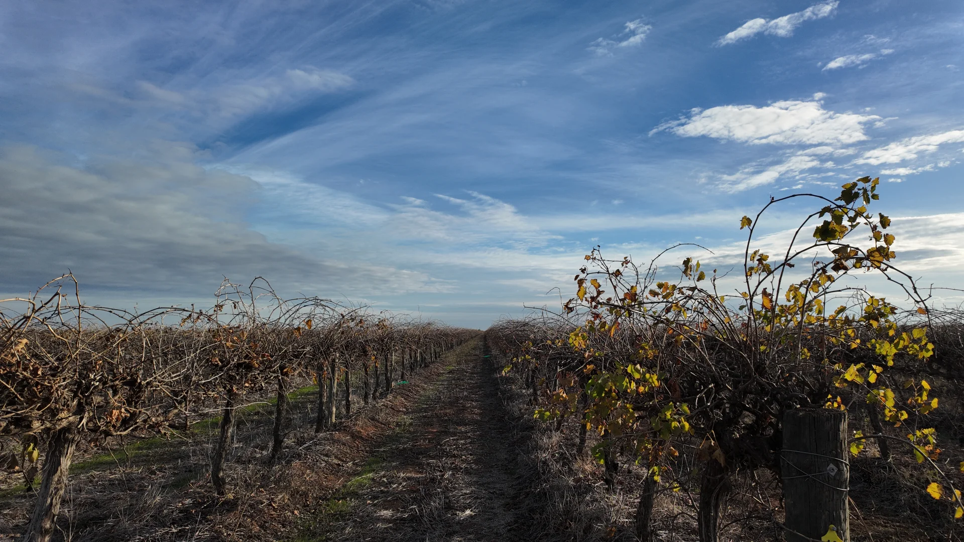 Additional image 4 of 1802 Old Well Road, Tharbogang NSW 2680