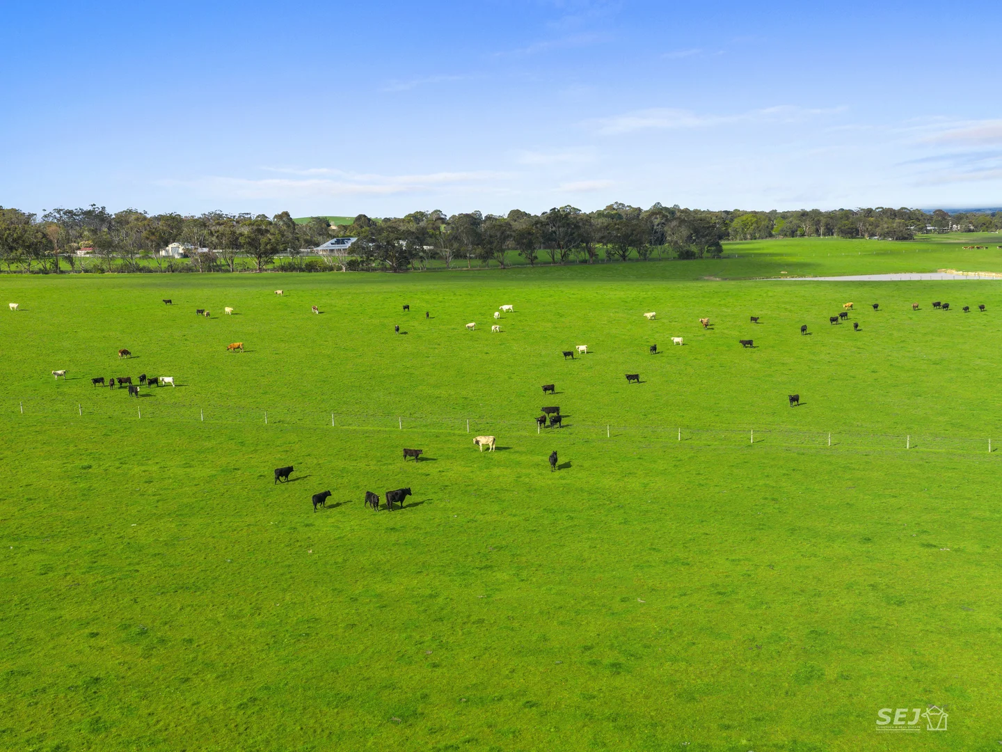 Additional image 7 of 115 Buffalo-Stony Creek Road, Buffalo VIC 3958