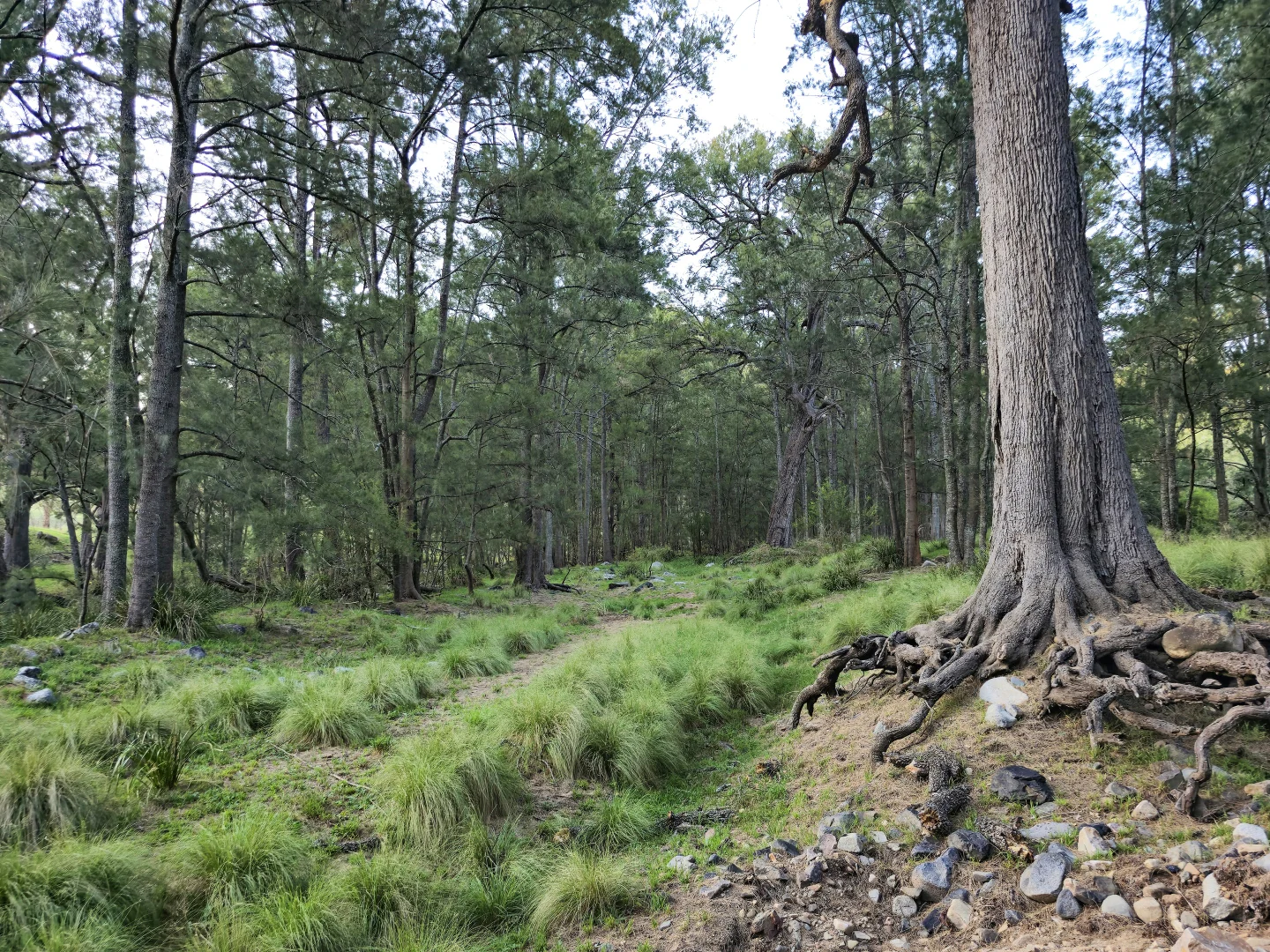 Additional image 6 of 58 Clarke Simpson Rd, Little Hartley NSW 2790