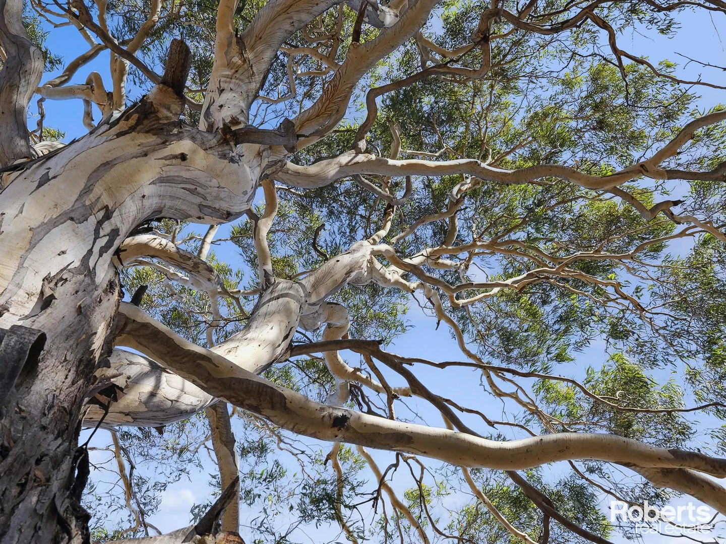 Additional image 11 of 95 Dolphin Sands Road, Dolphin Sands TAS 7190