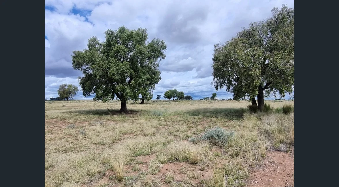 Additional image 14 of Tooraweenah NSW 2817