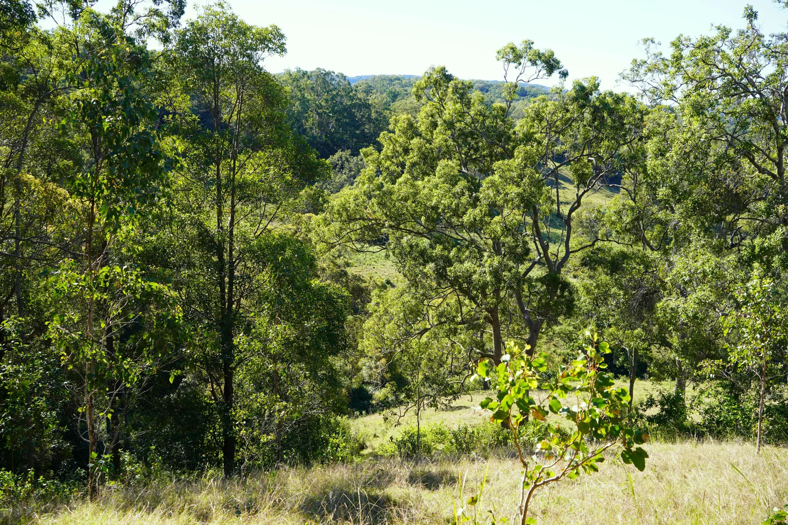 Additional image 34 of 2425 Pine Creek Rd, Lismore NSW 2480
