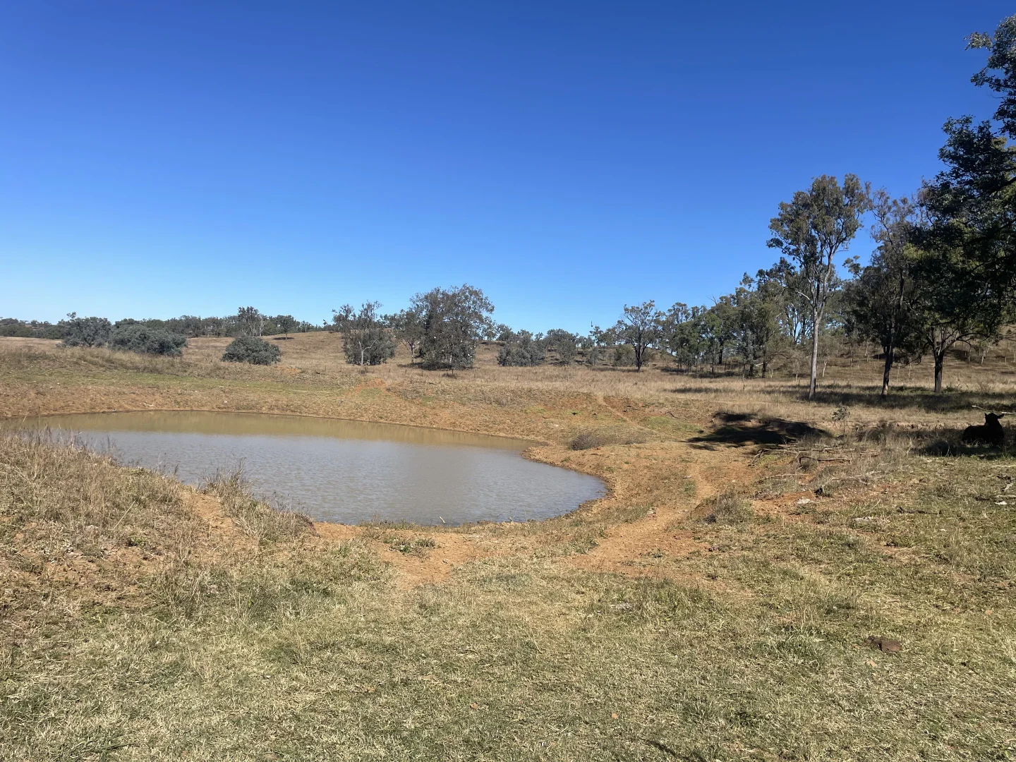 Additional image 6 of 186 Mungungo Creek Road, Monto QLD 4630