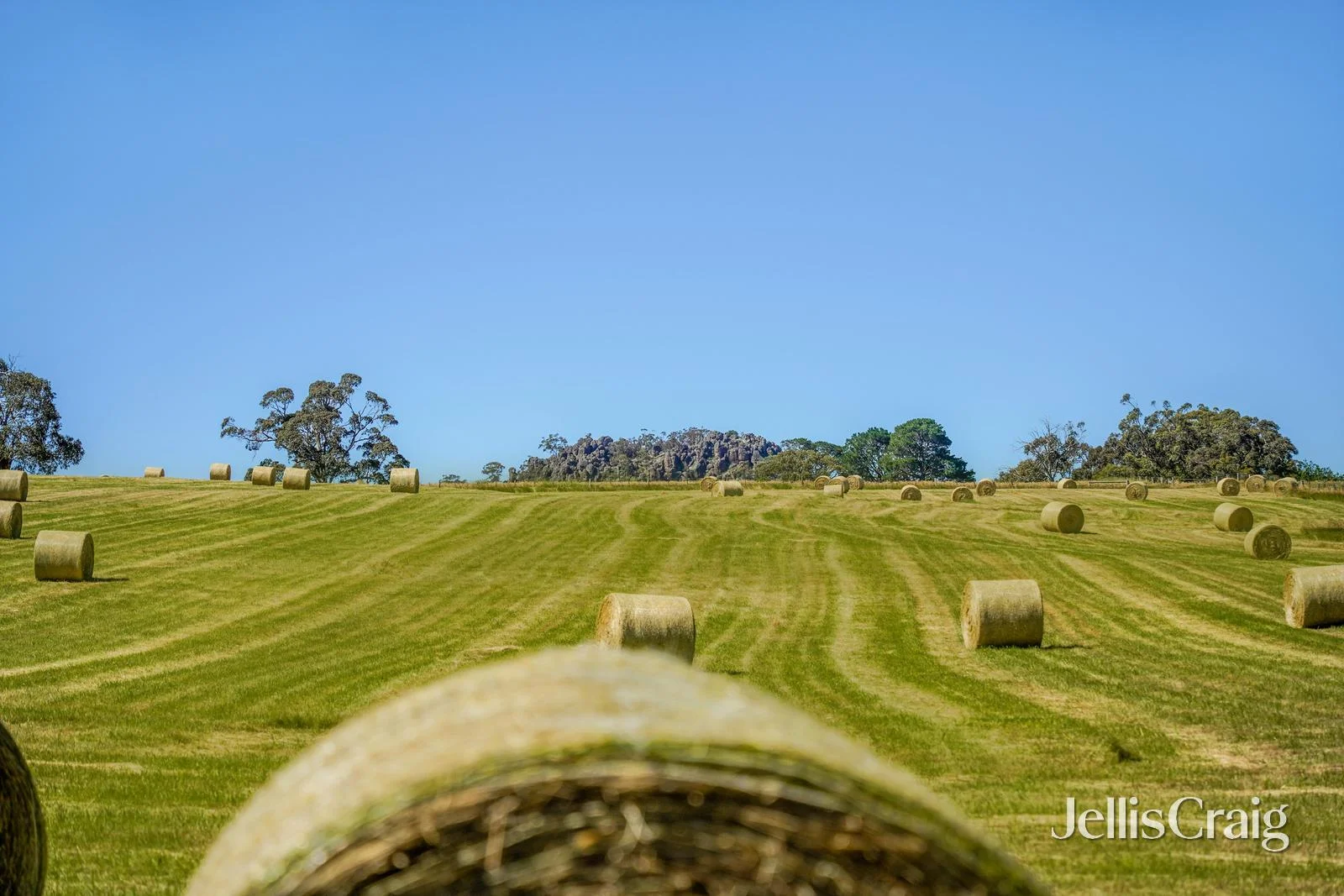 Additional image 14 of Lesmurdie Park 1265 Rochford Road, Newham VIC 3442