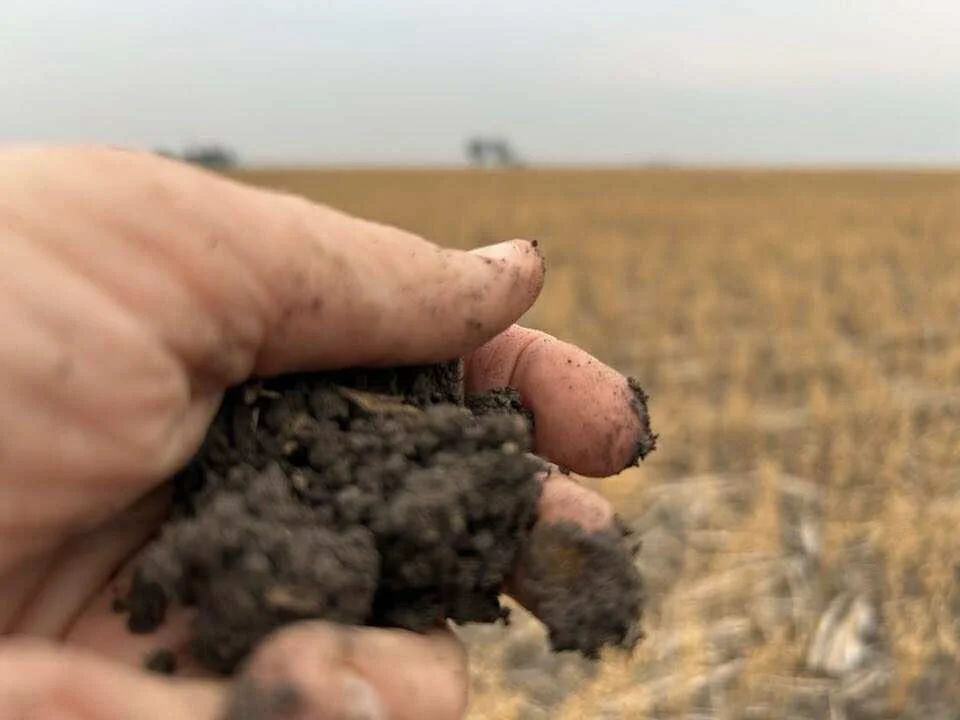 Additional image 12 of 2094 West Prairie Road, West Prairie QLD 4403