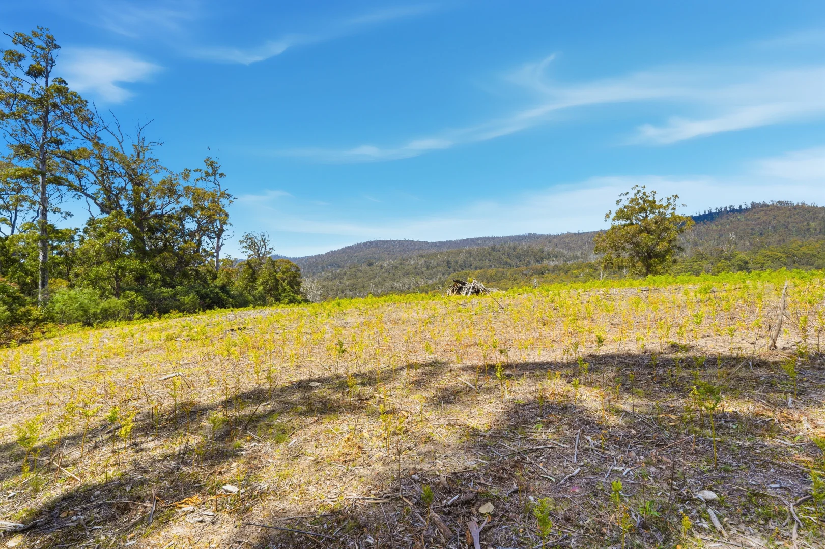 Additional image 12 of 319 Yearsley Road, Broadmarsh TAS 7030