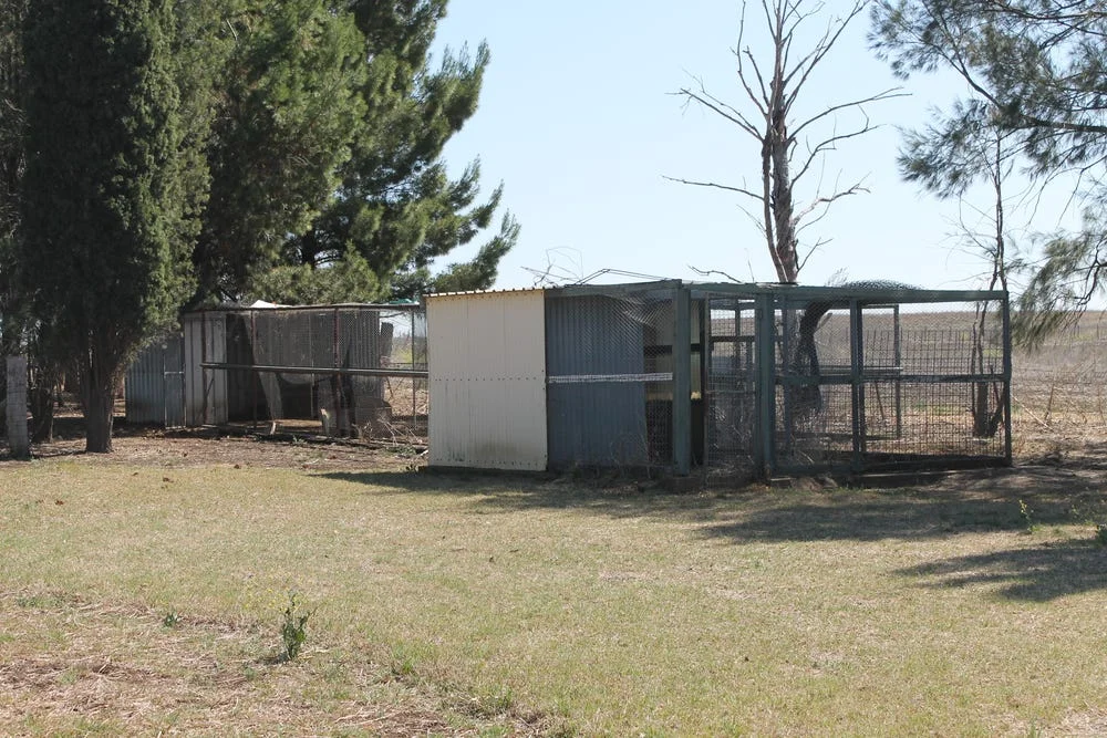 Additional image 9 of 61 Old Scone Road, Merriwa NSW 2329