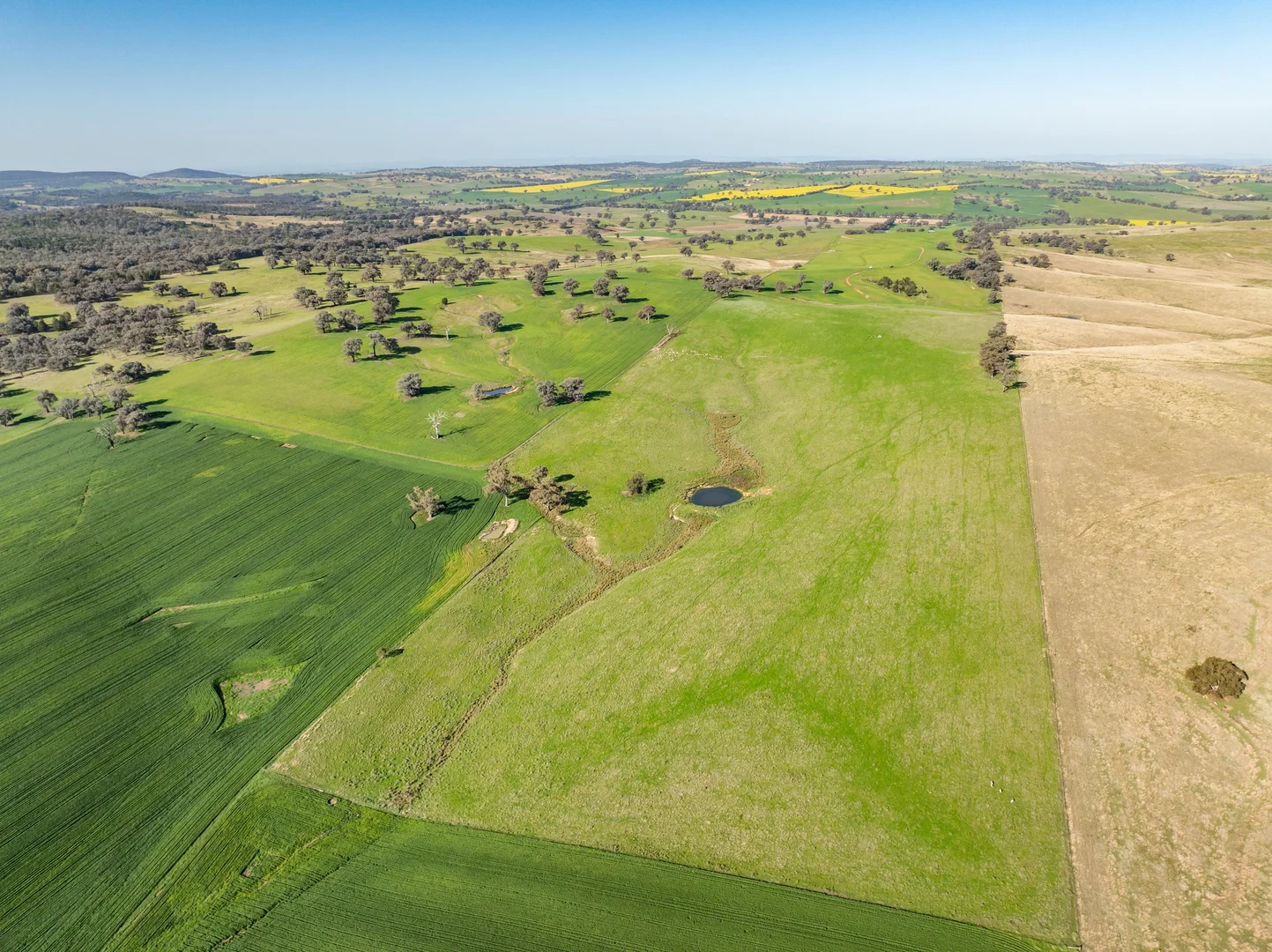 Additional image 28 of Bumbaldry Road, Greenethorpe NSW 2809