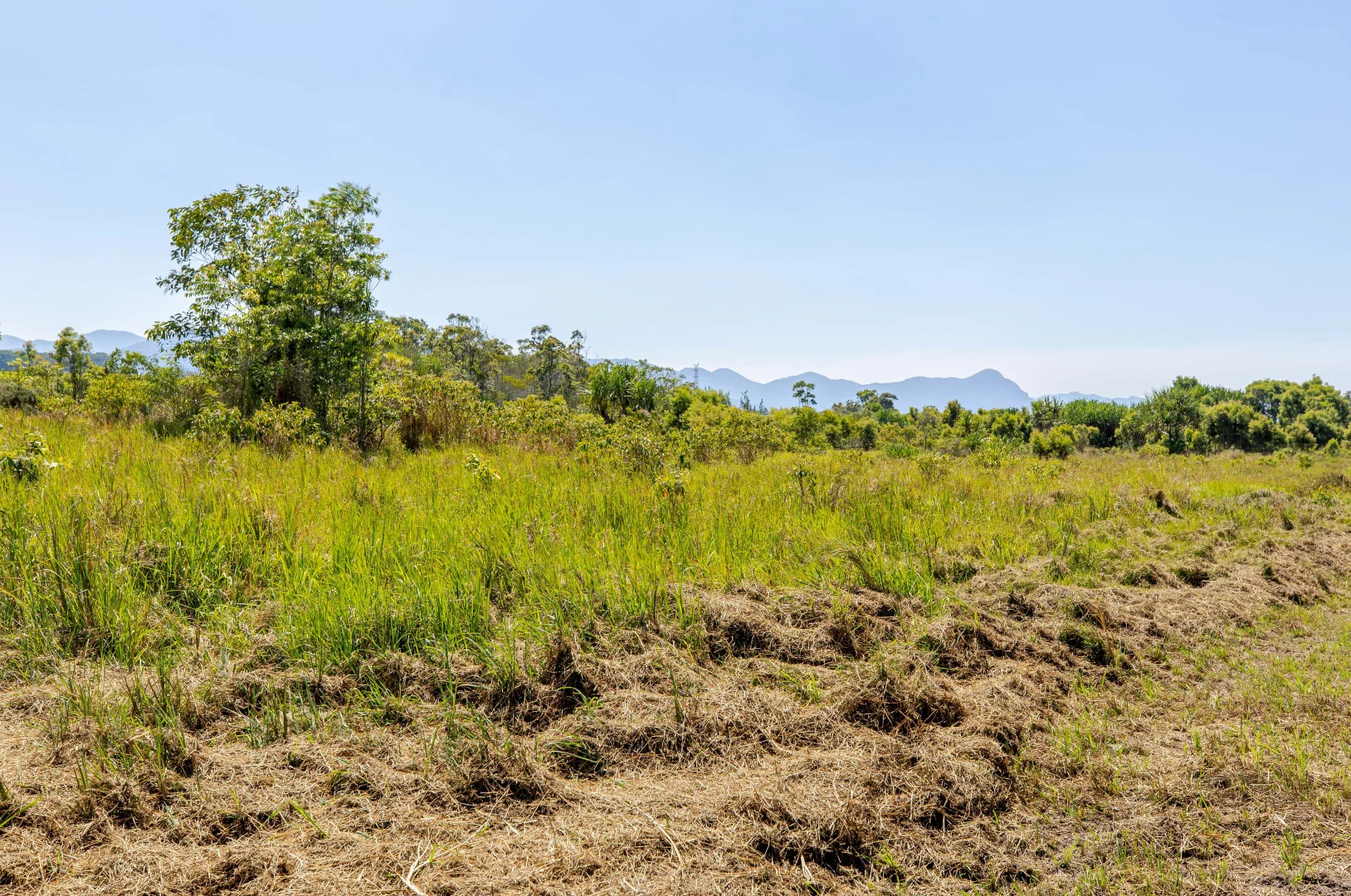 Additional image 20 of Lot 93/96 Mary Jane Drive, Julatten QLD 4871