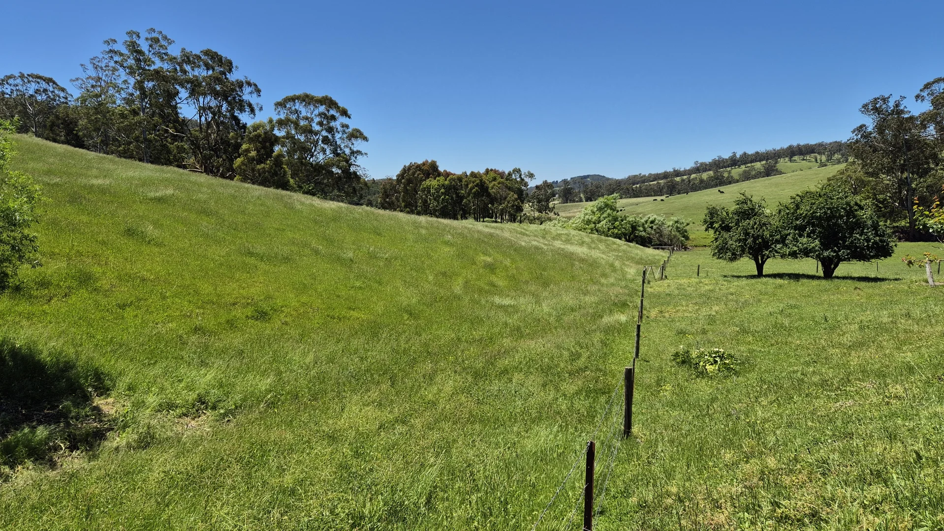 Additional image 23 of 735 Callignee South Road, Callignee VIC 3844