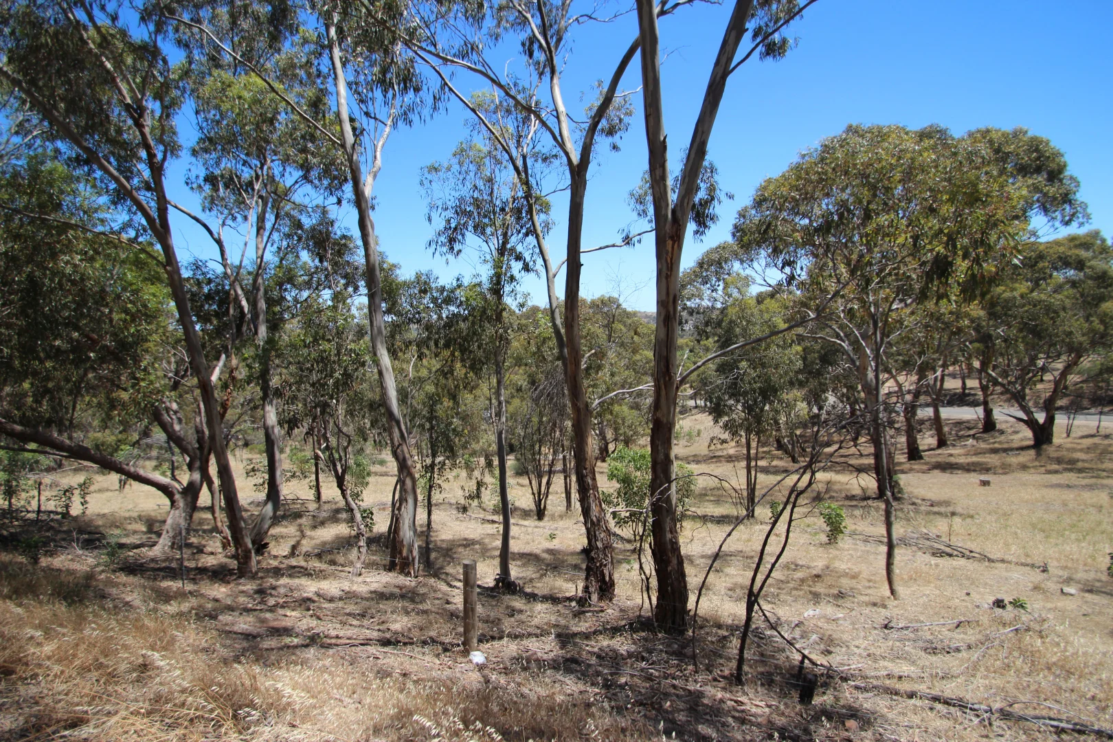 Additional image 23 of Lot 44 Norman Drive, Stanley Flat SA 5453