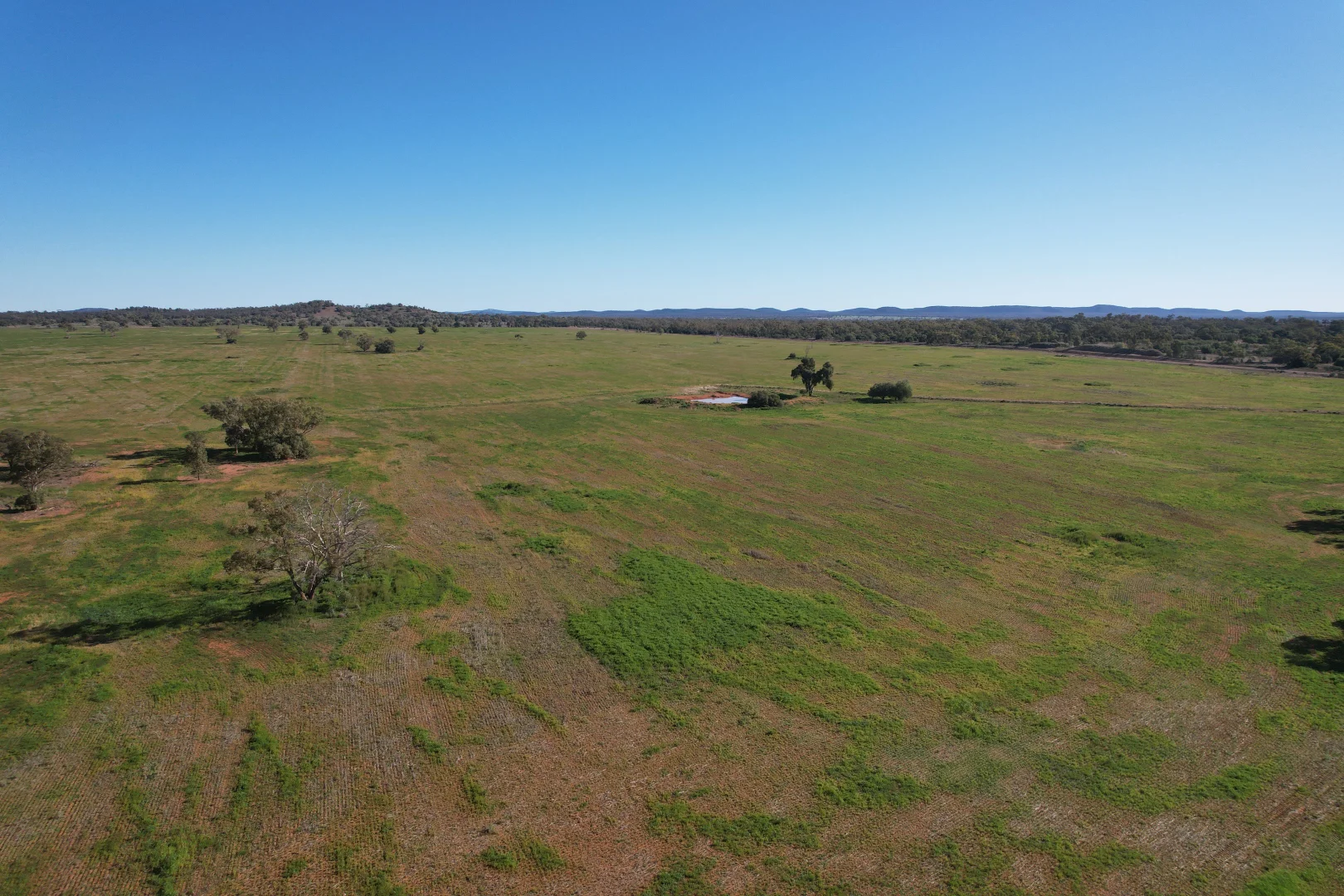 Additional image 32 of 2823 Hermidale Nymagee Road, Hermidale NSW 2831