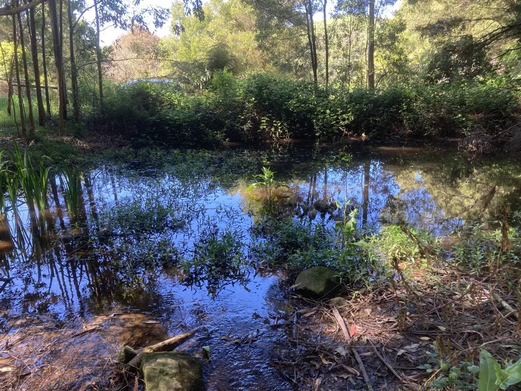 Additional image 2 of 465 Woomera Creek Rd, Toora North VIC 3962