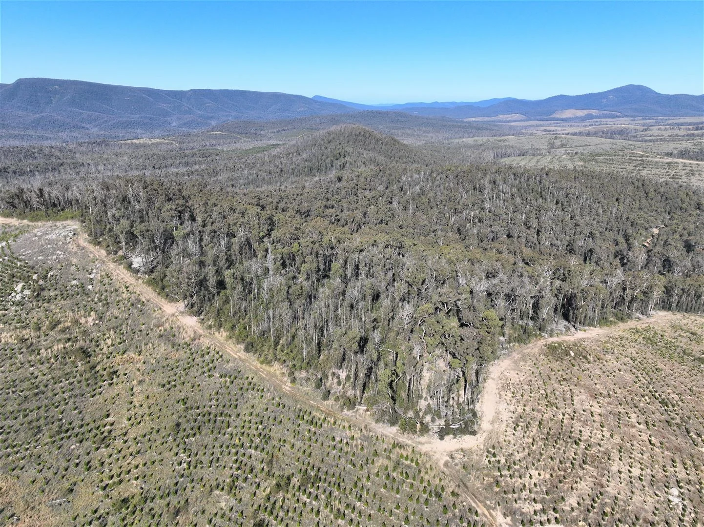 Additional image 7 of Lot 34, 35, 36, 79 Monaro Highway, Rockton NSW 2632