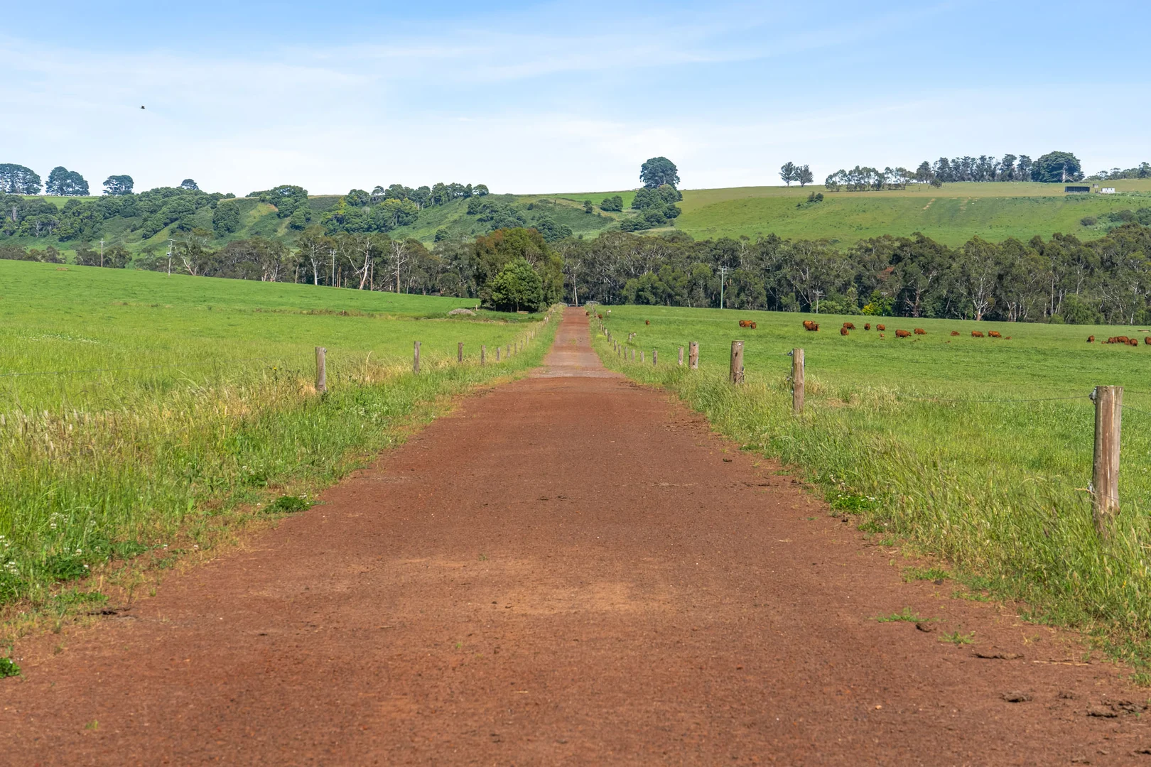 Additional image 8 of 876 Cobden Port Campbell Road, Scotts Creek VIC 3267