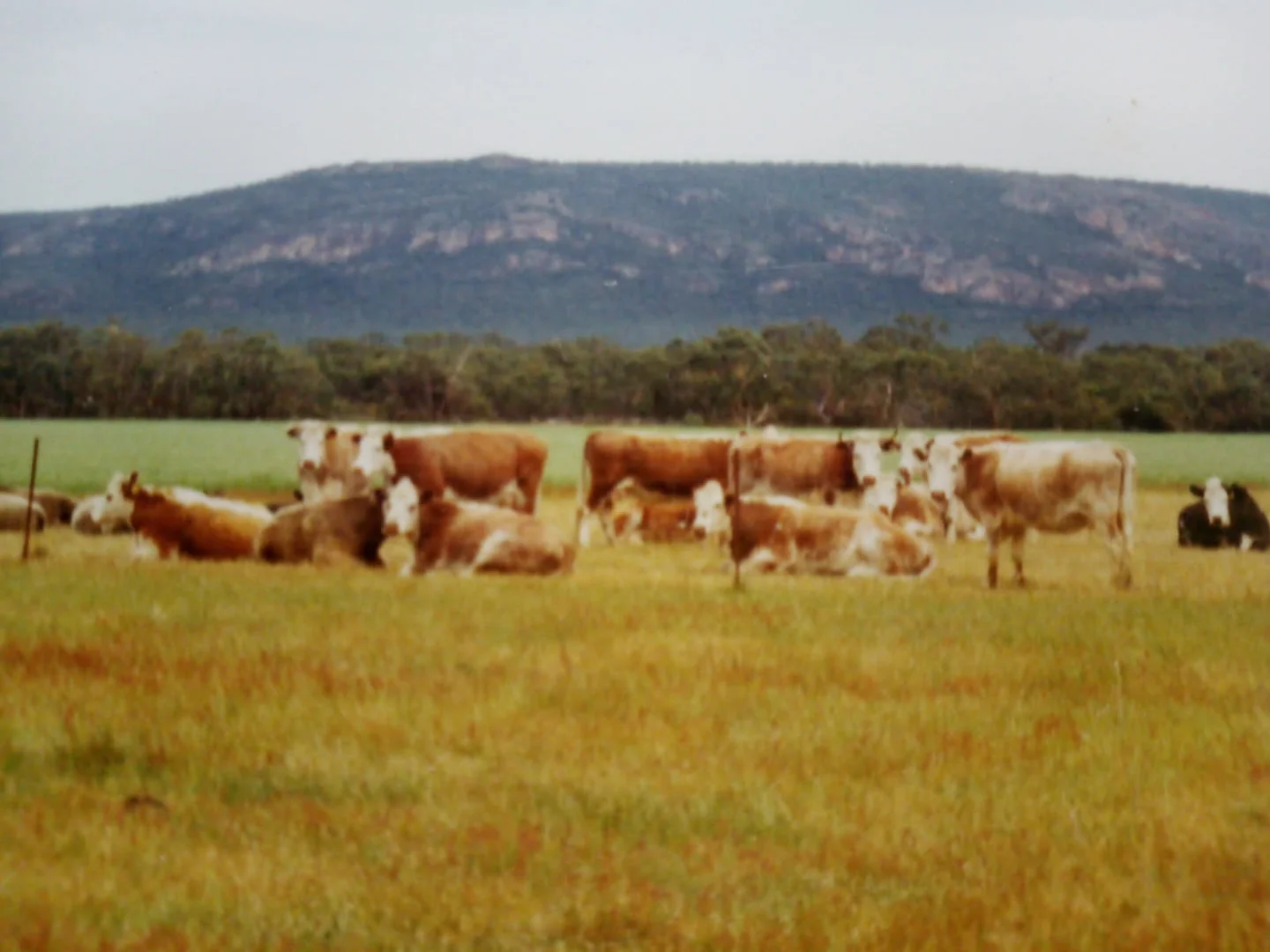 Additional image 16 of Golton South Road, Dadswells Bridge VIC 3385