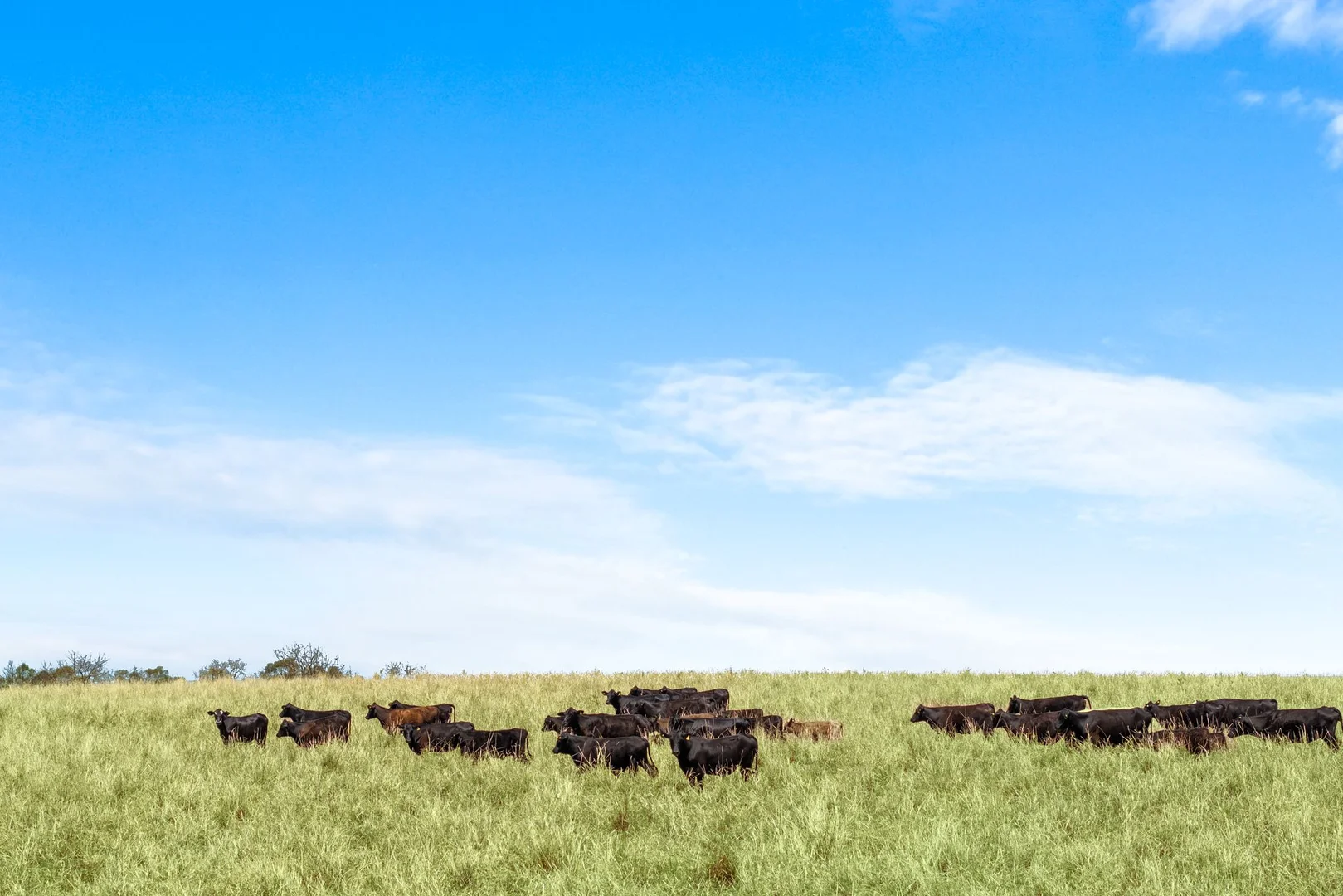 Additional image 14 of 1255 Bulmers Road, Hogarth Range NSW 2469