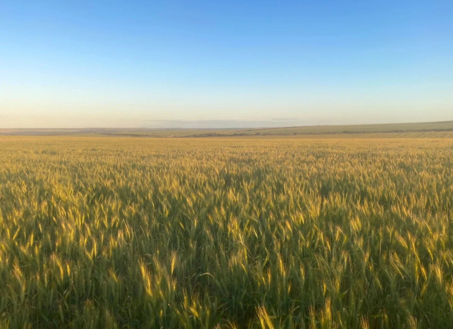 Additional image 25 of Valentine Road, Wicherina WA 6532