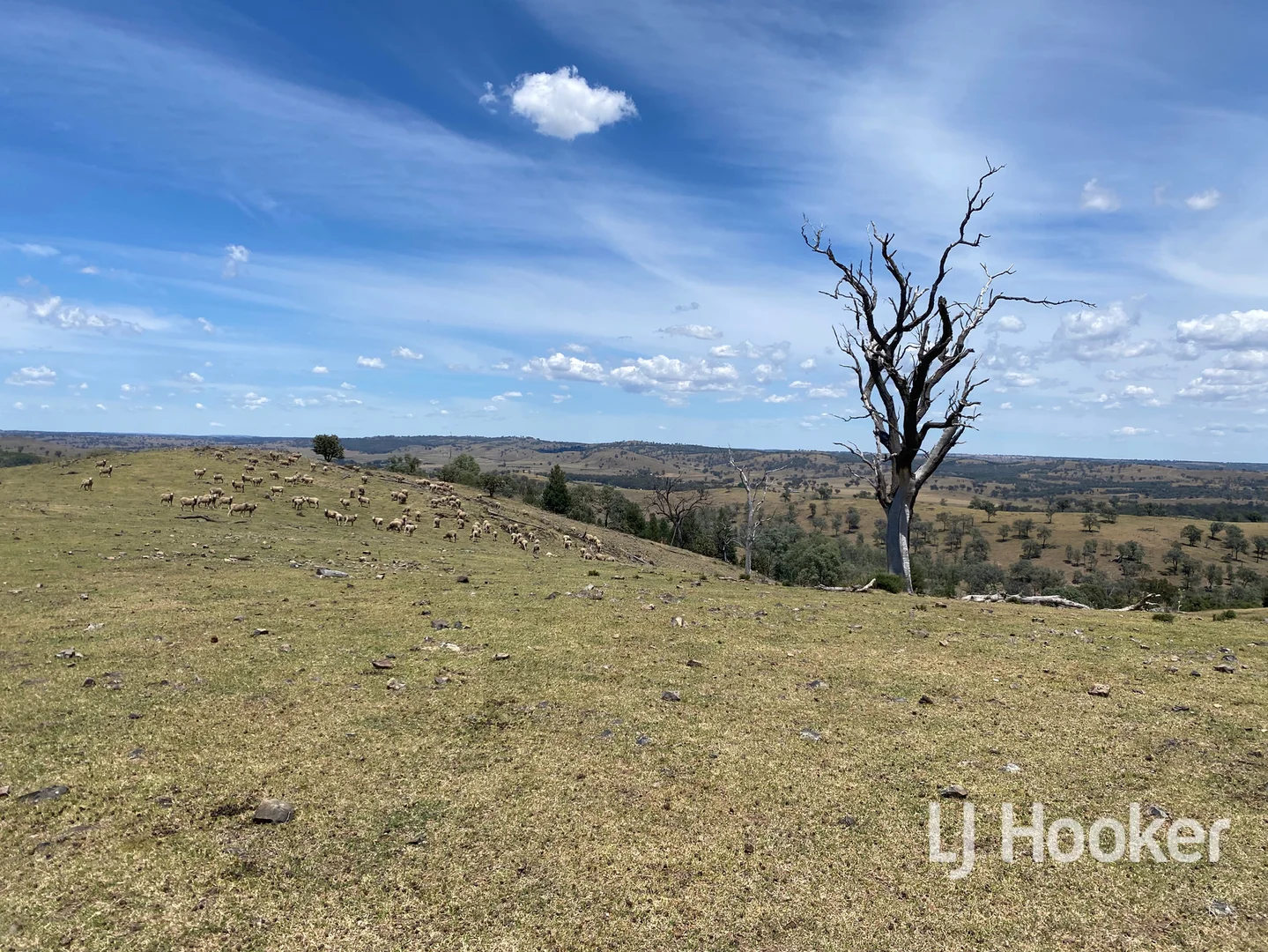 Additional image 16 of 1198 Bukkulla Road, Inverell NSW 2360